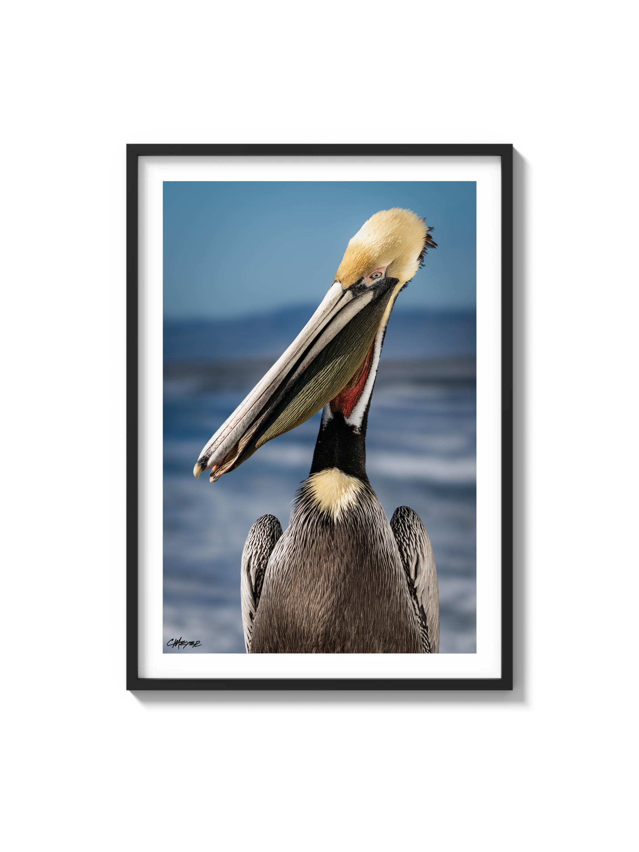 Tux