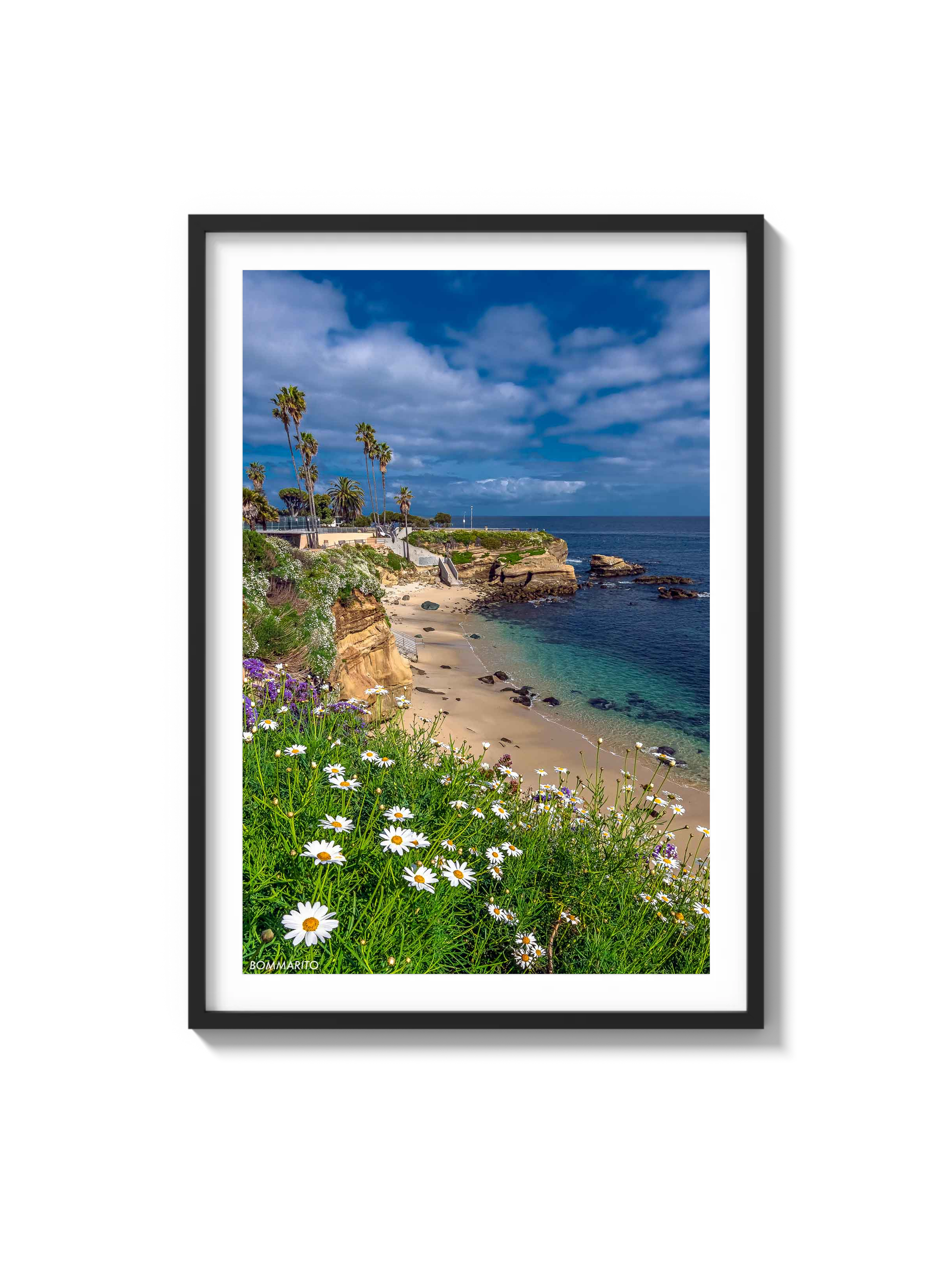 La Jolla Cove