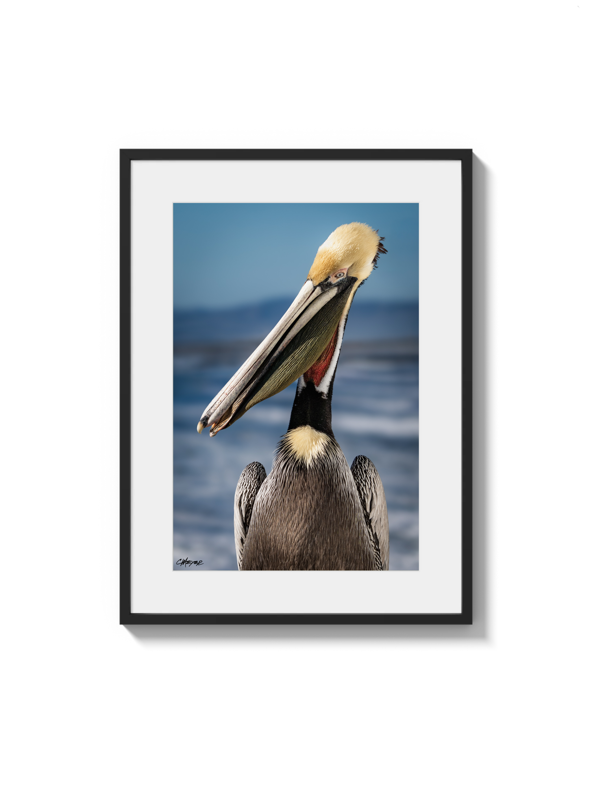 Tux