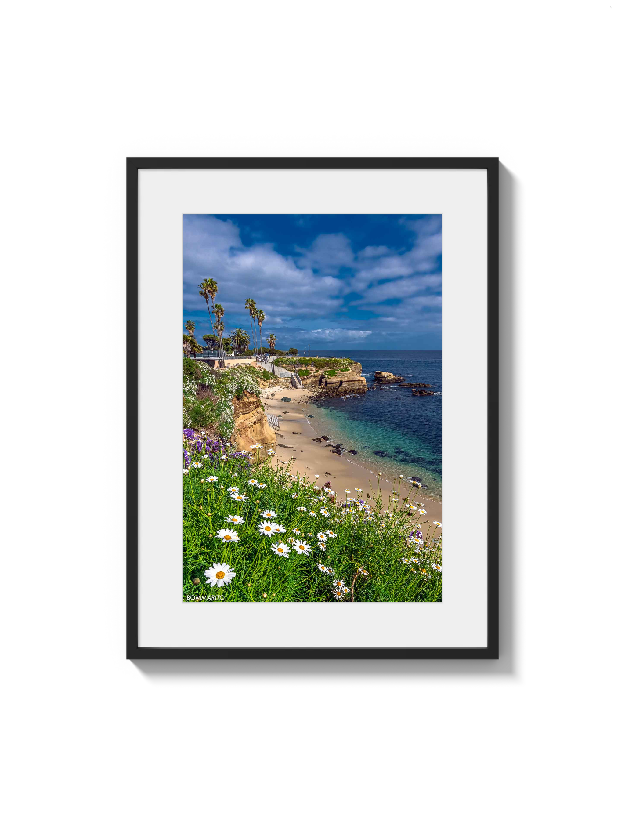 La Jolla Cove
