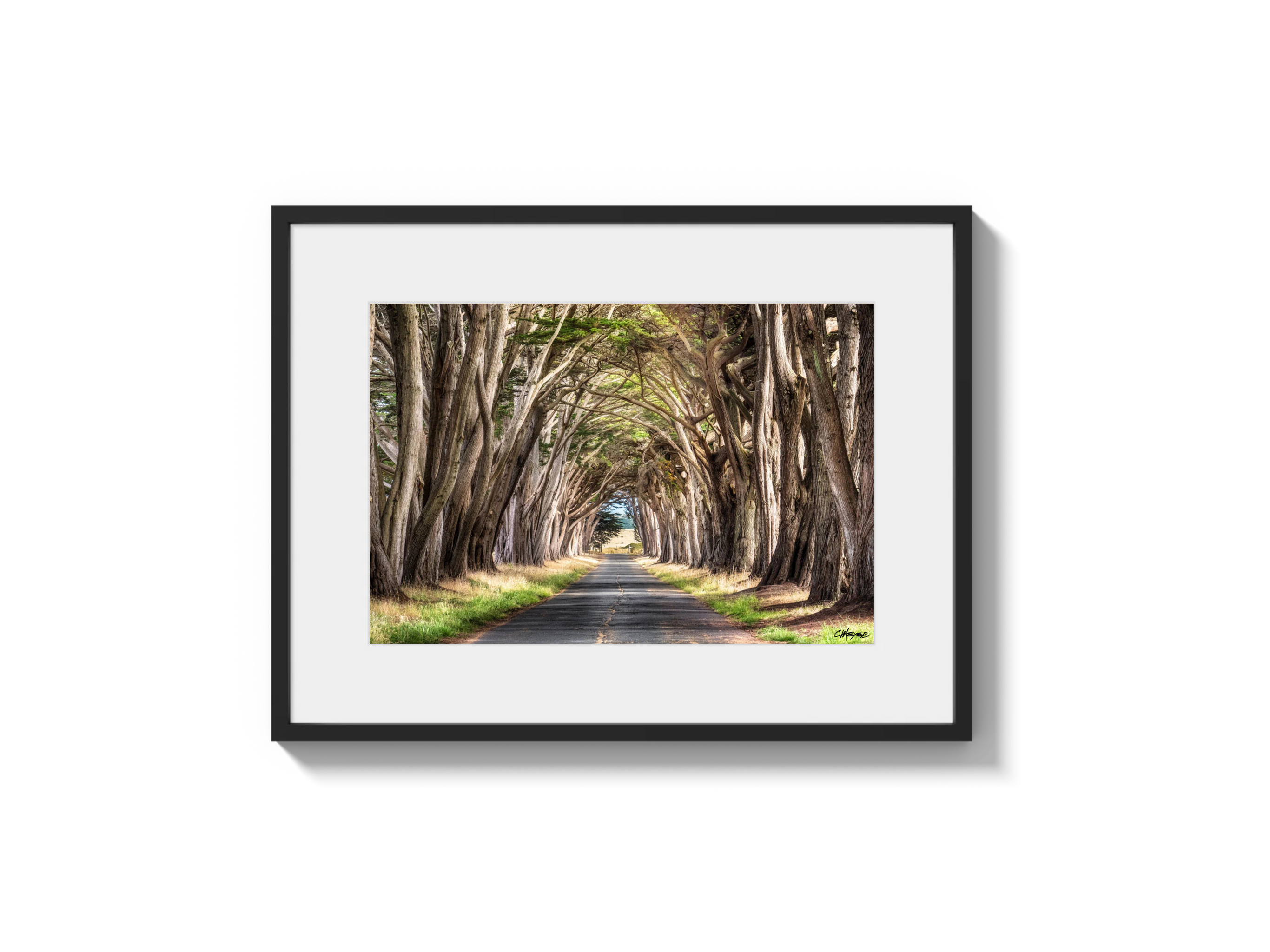 Tunnel View