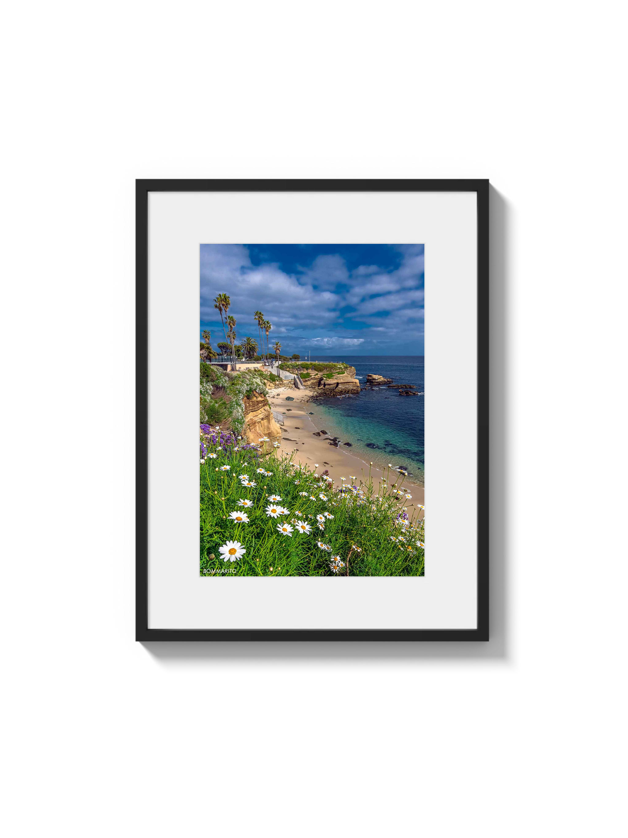 La Jolla Cove