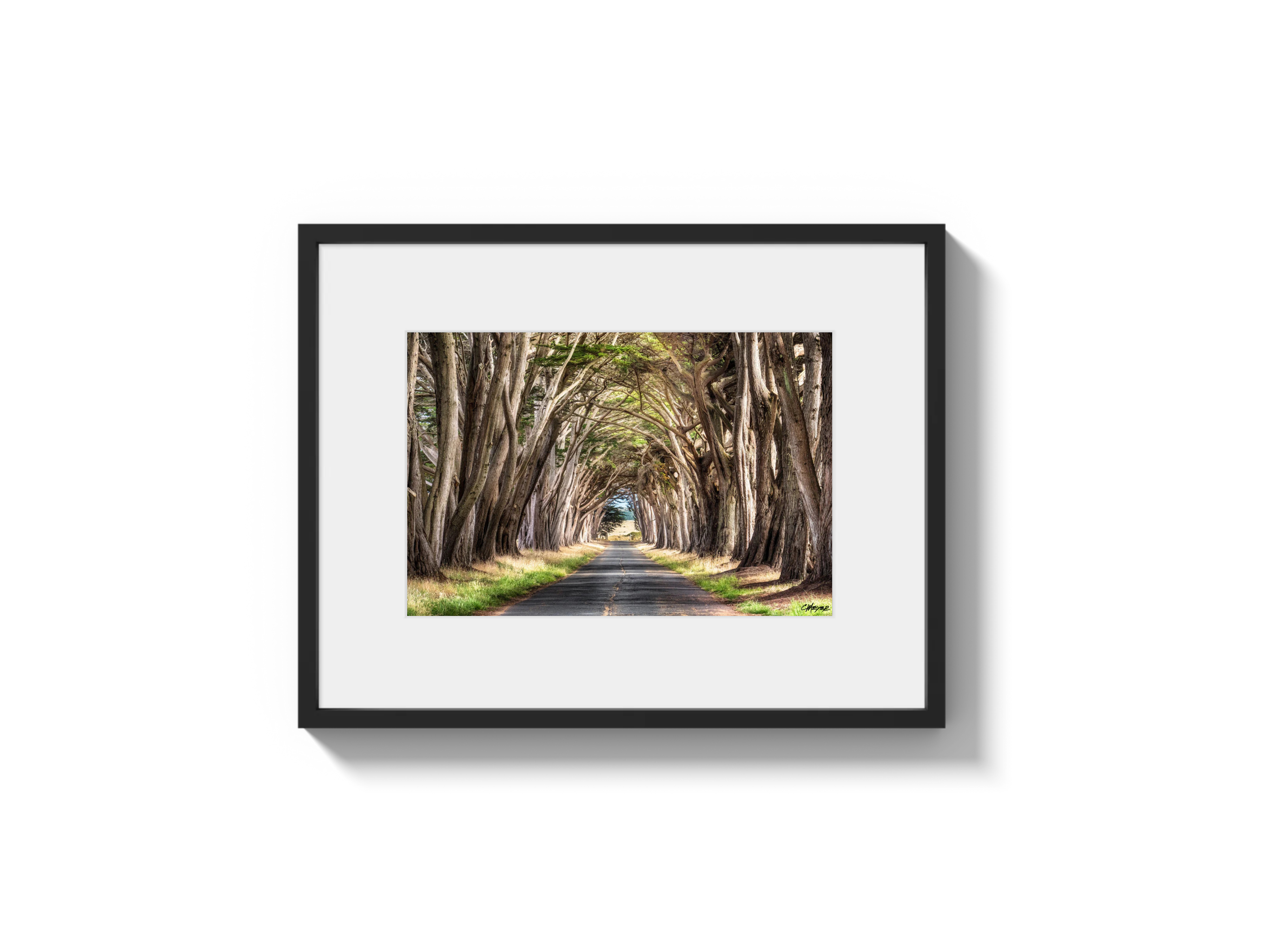 Tunnel View