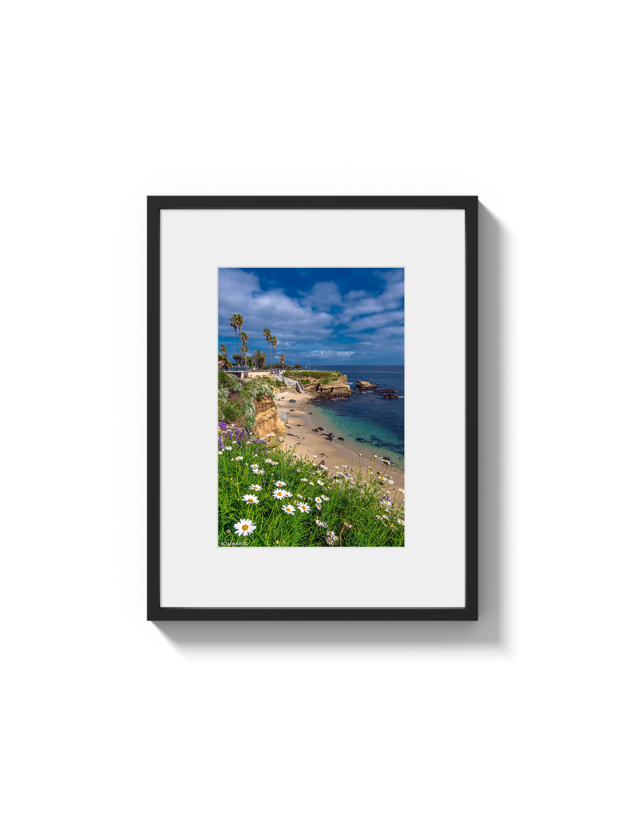 La Jolla Cove