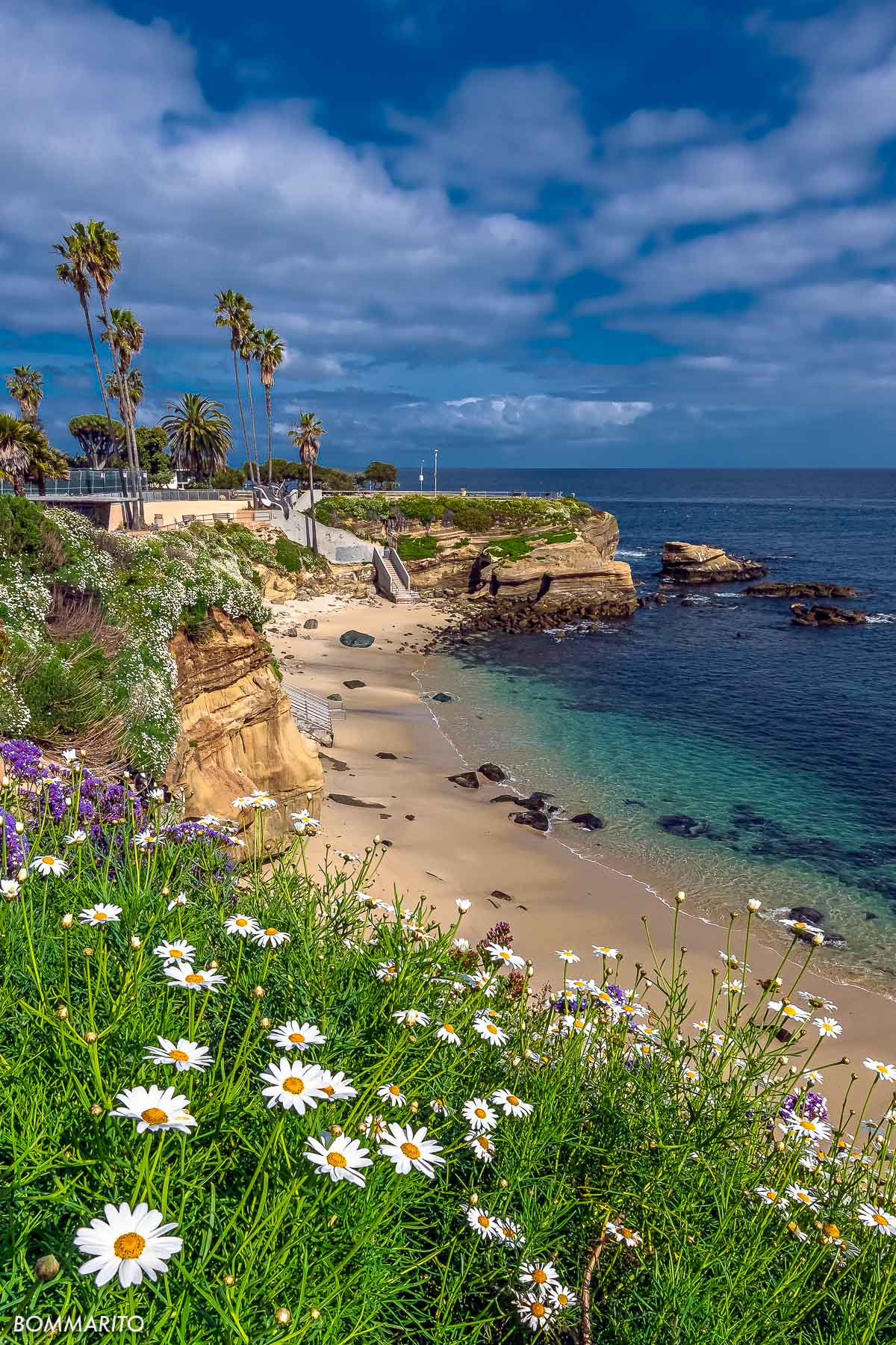 La Jolla Cove