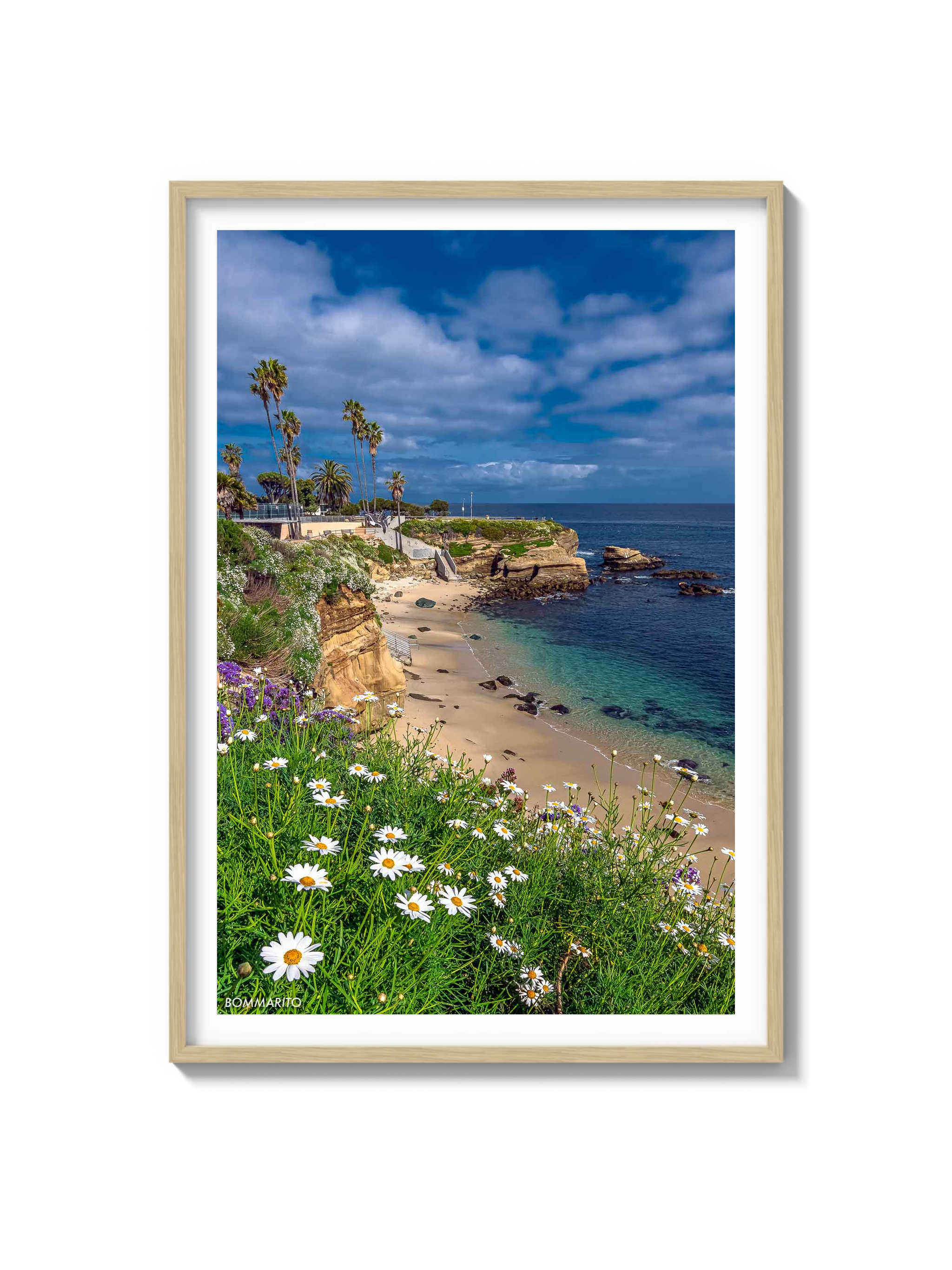 La Jolla Cove