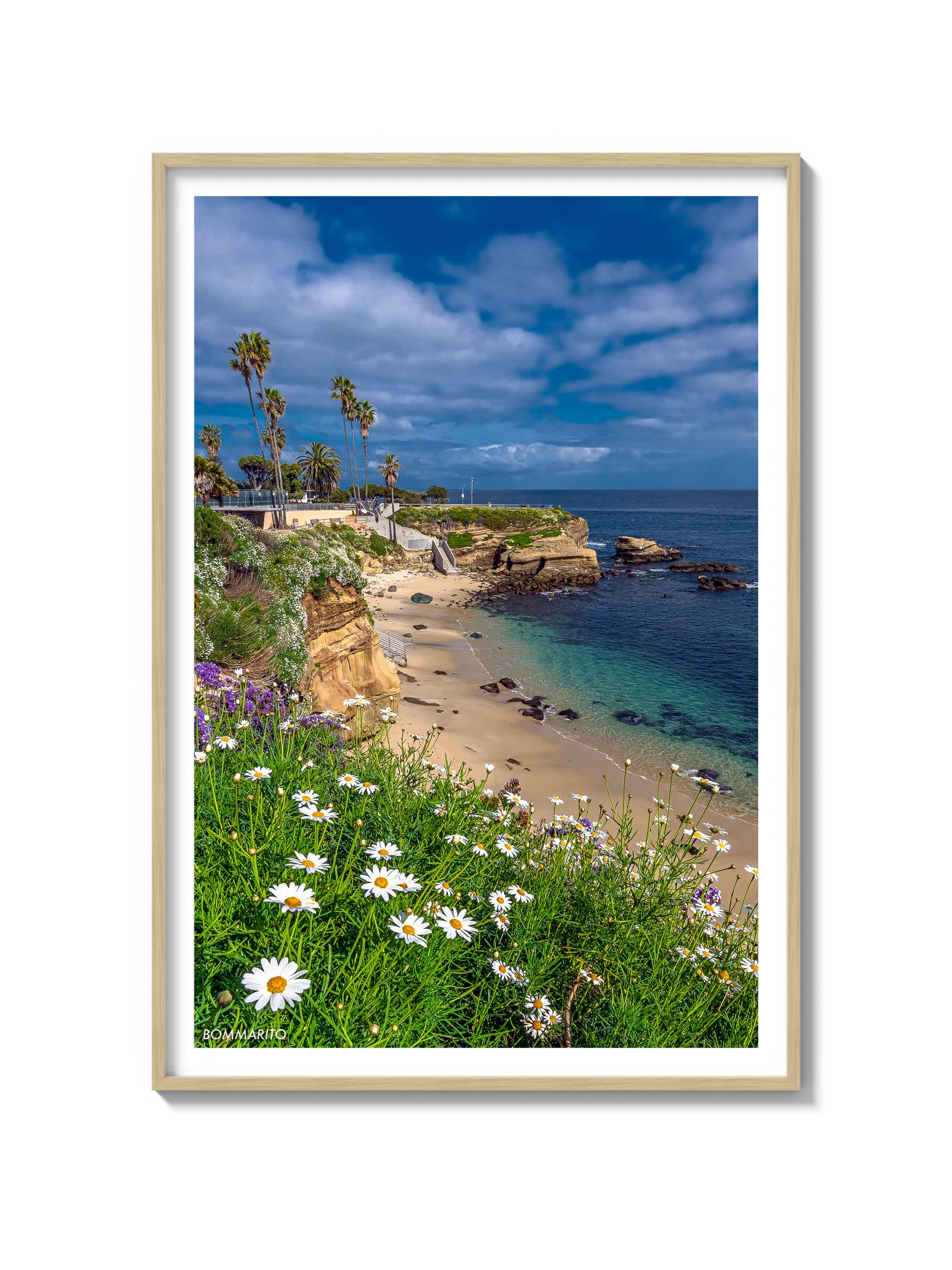 La Jolla Cove