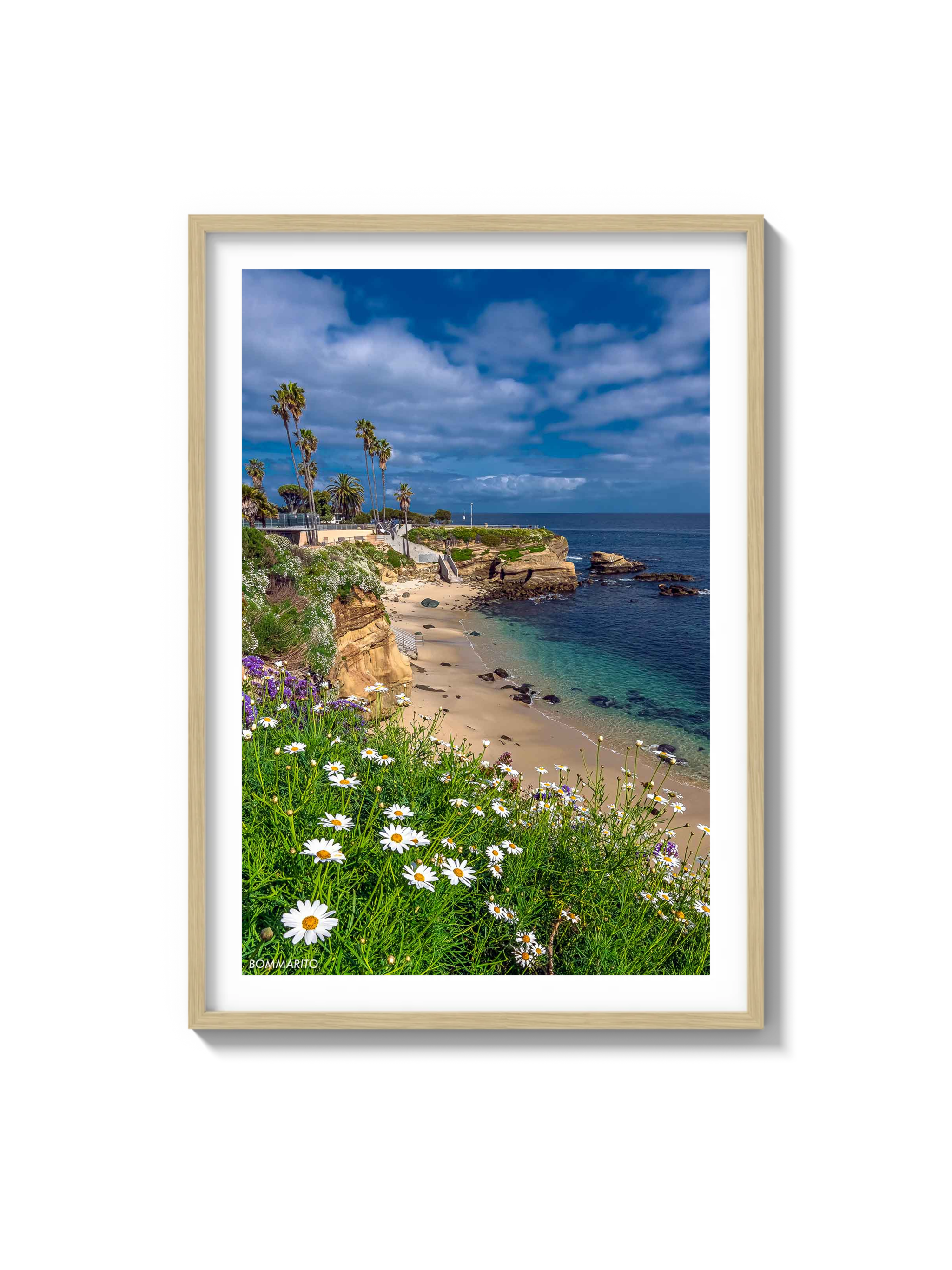 La Jolla Cove
