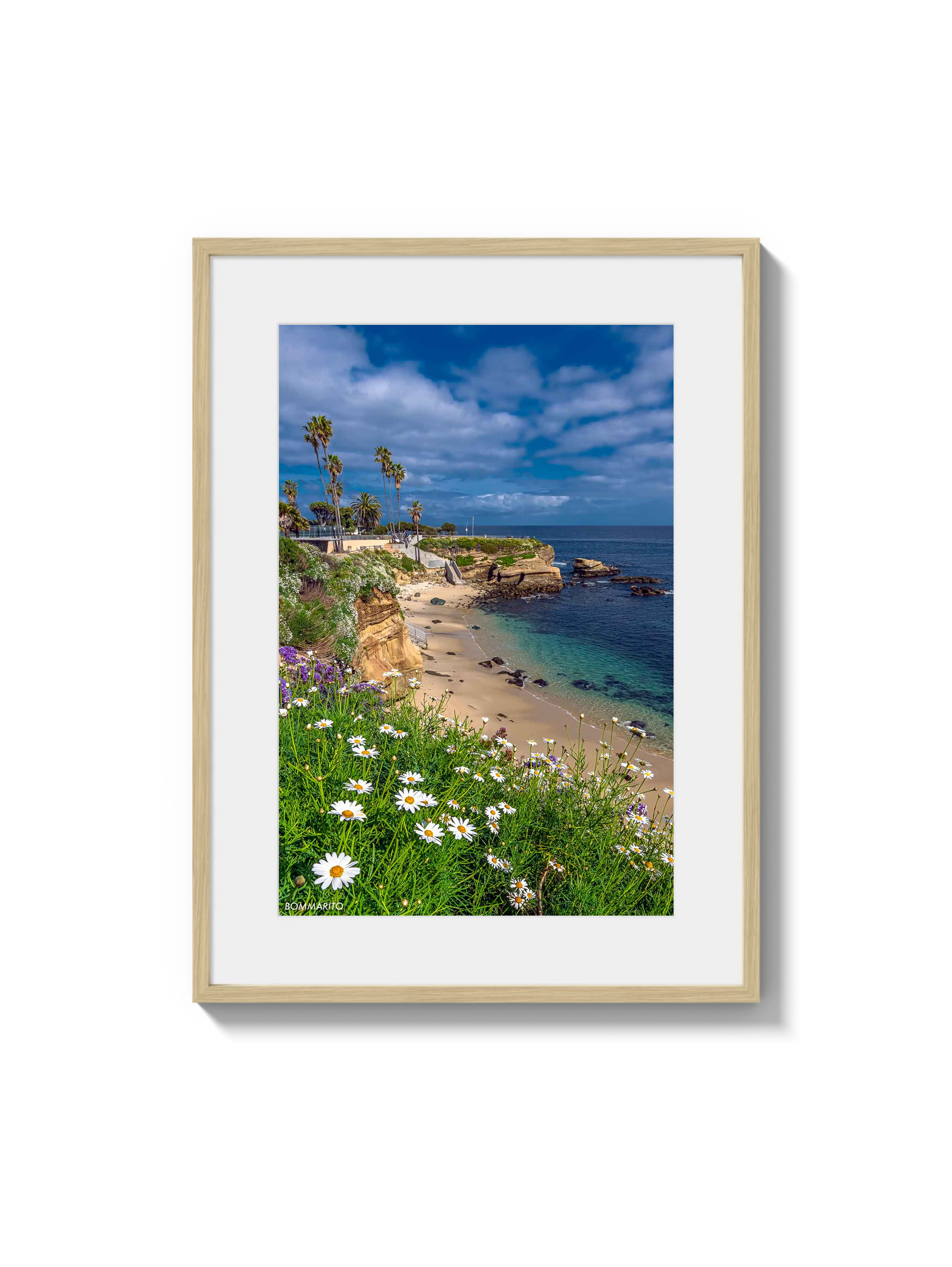 La Jolla Cove