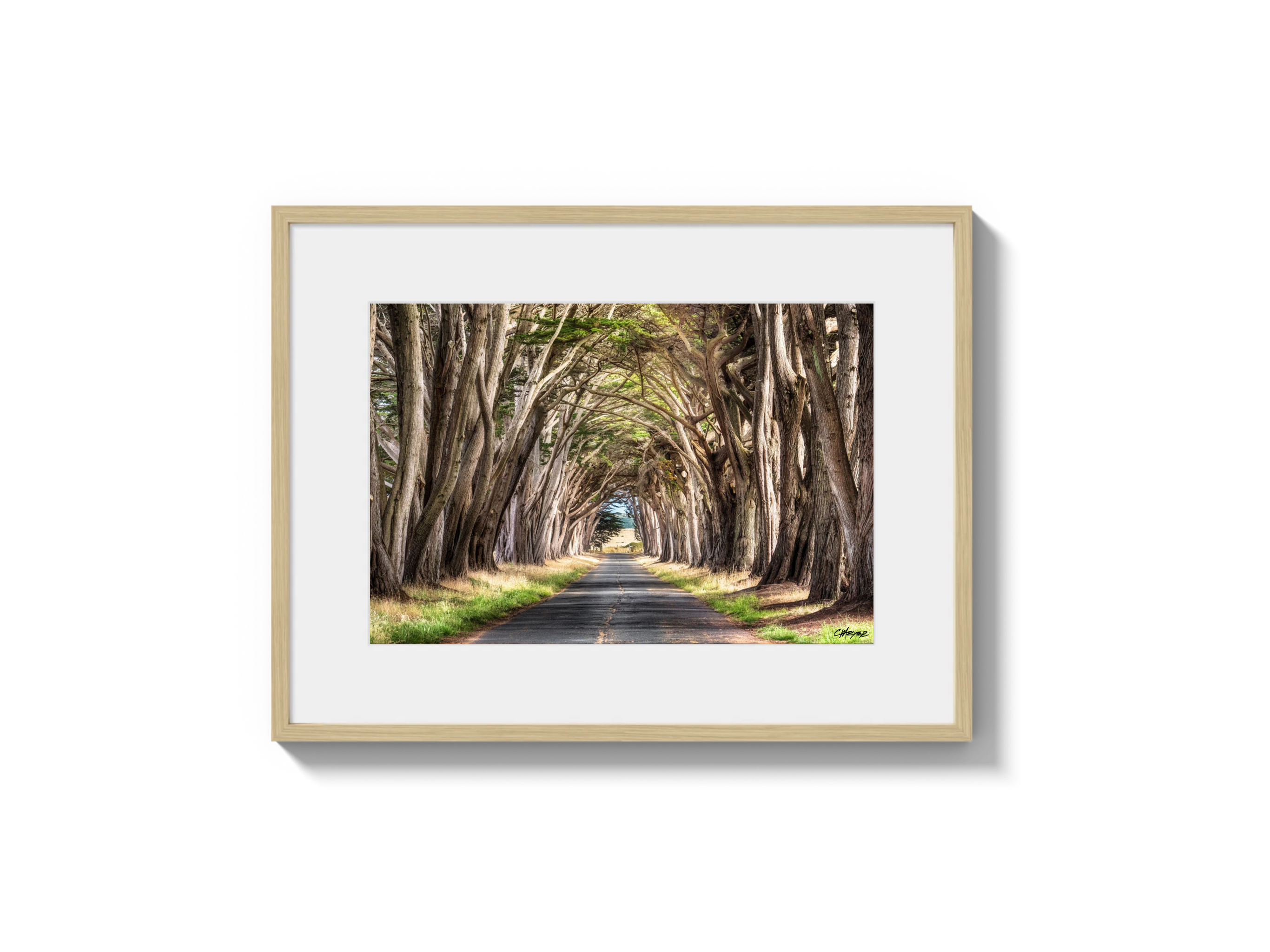 Tunnel View