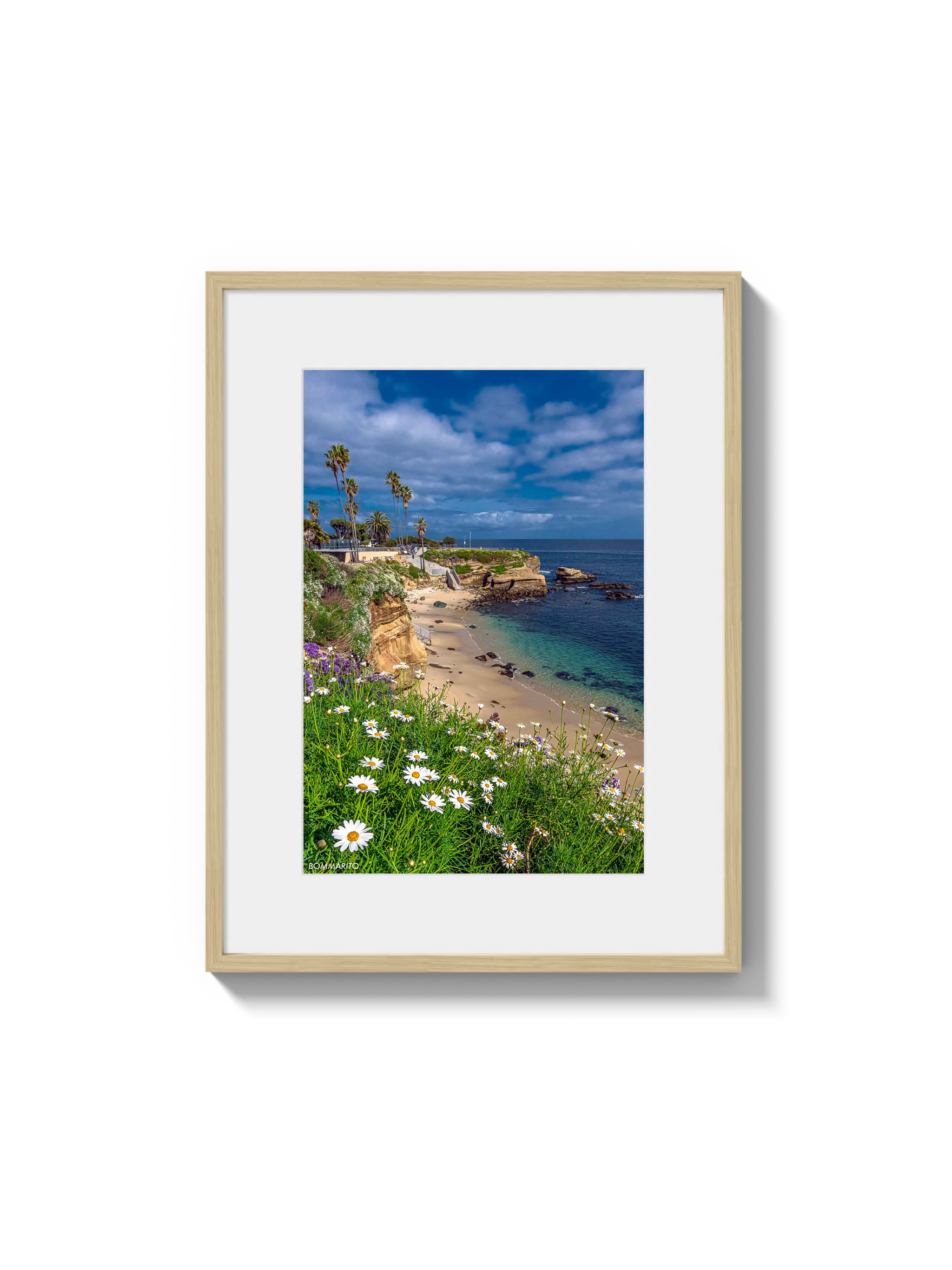 La Jolla Cove