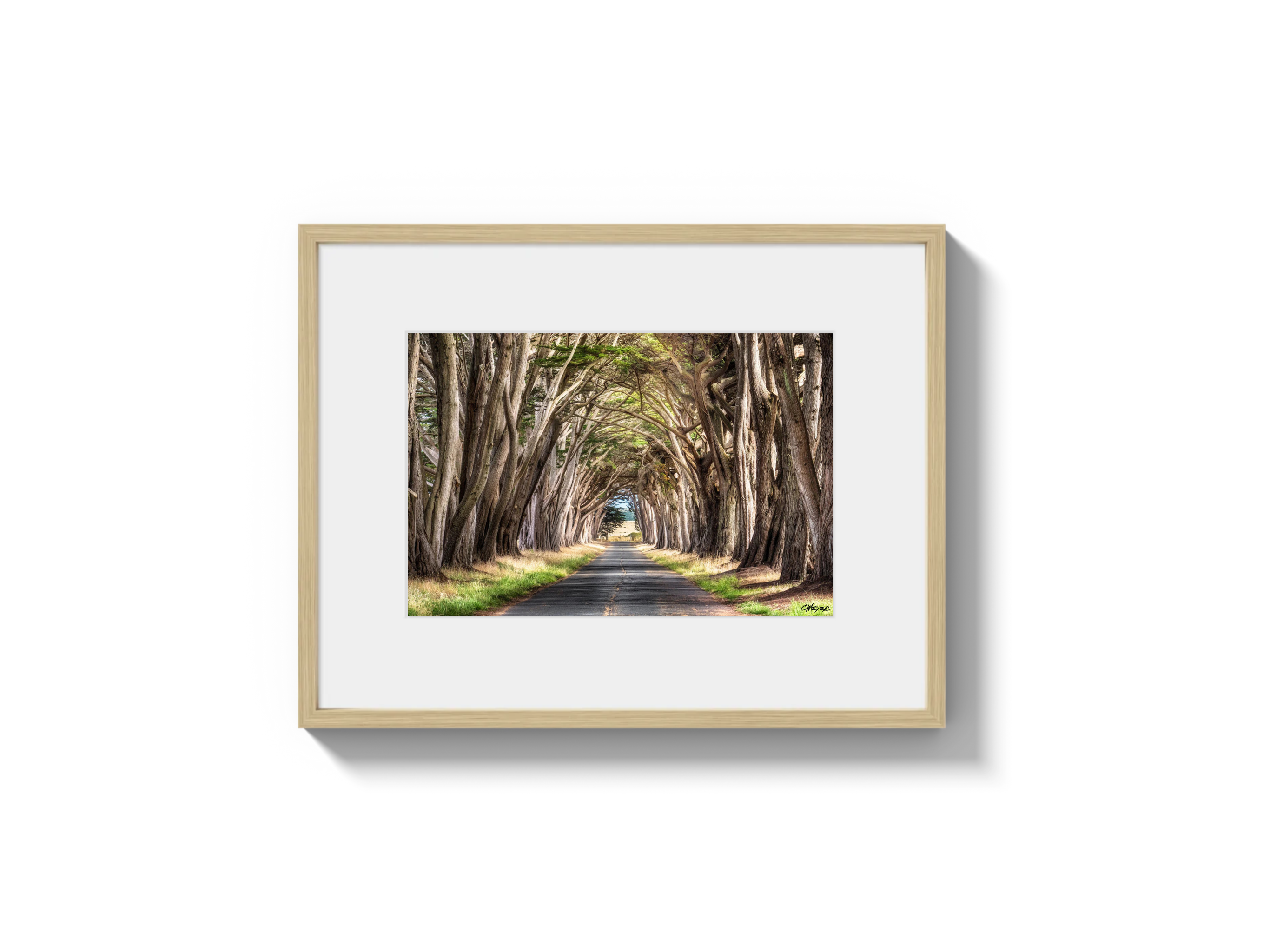 Tunnel View