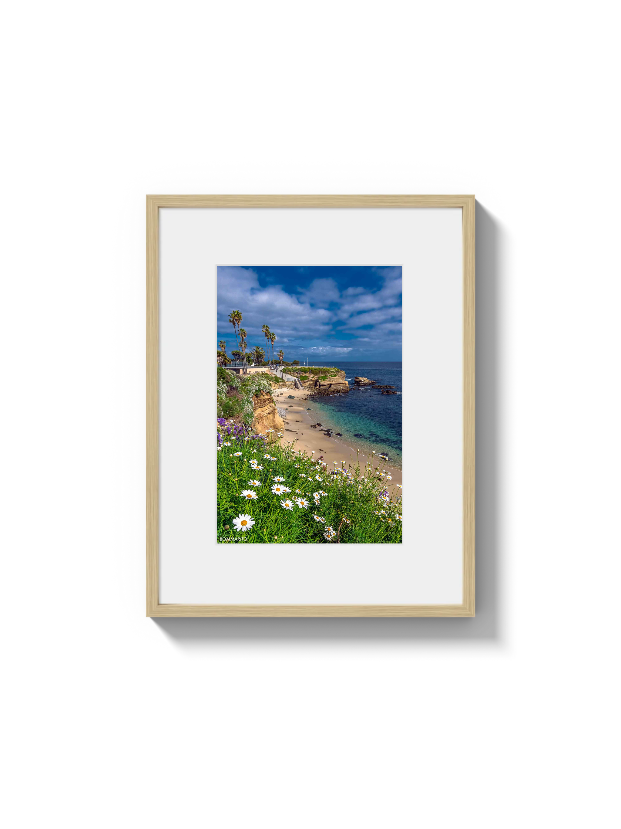 La Jolla Cove