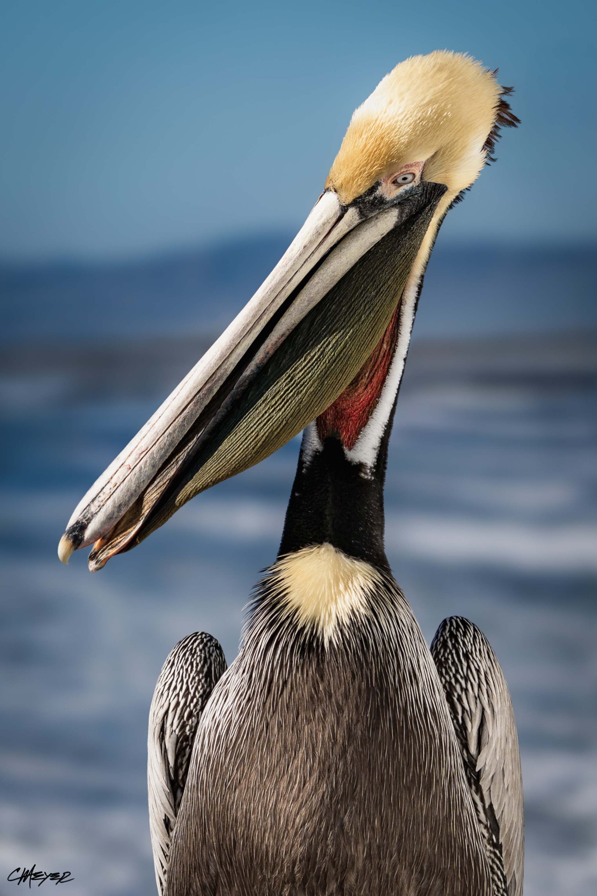 Tux