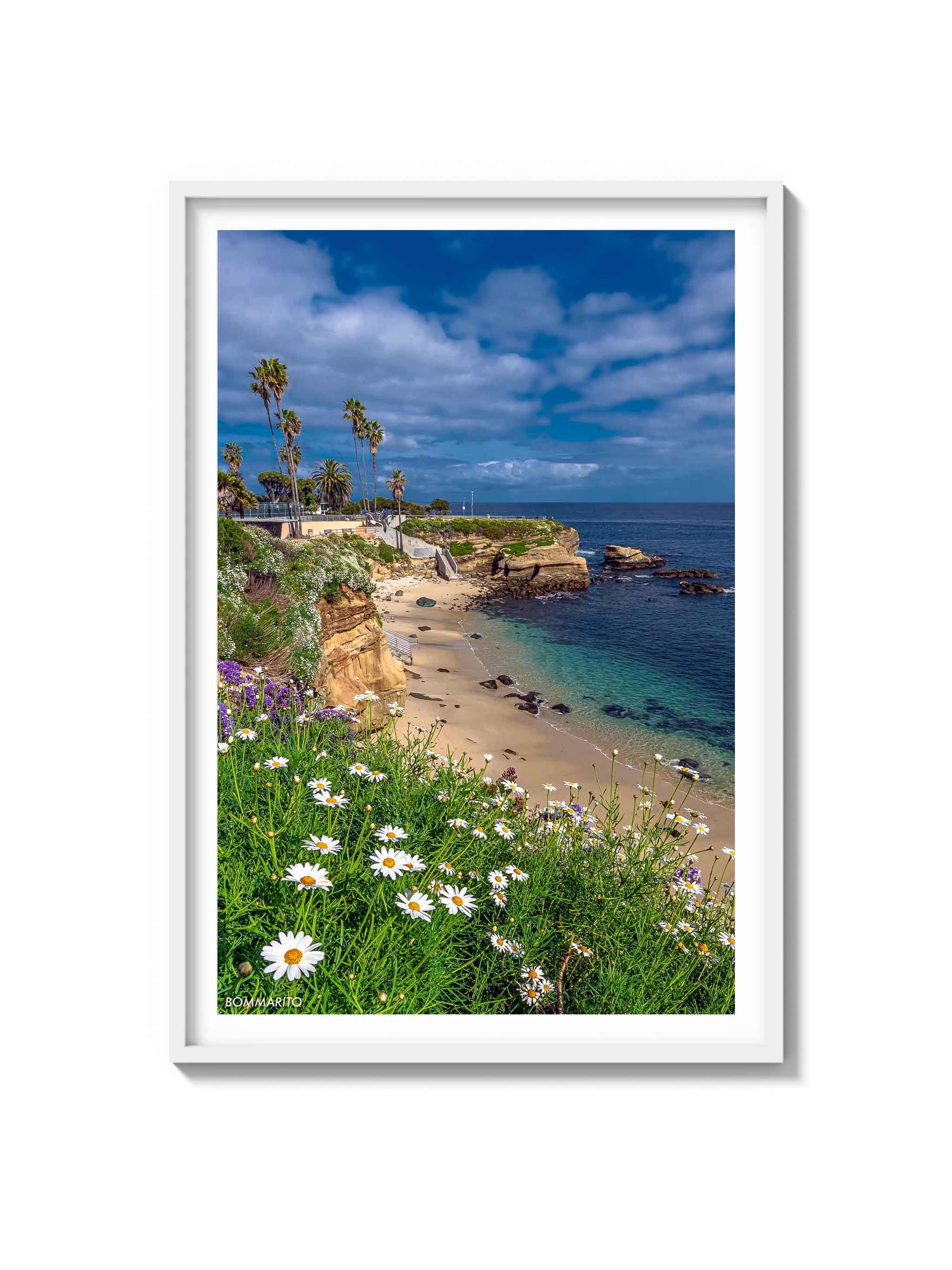 La Jolla Cove