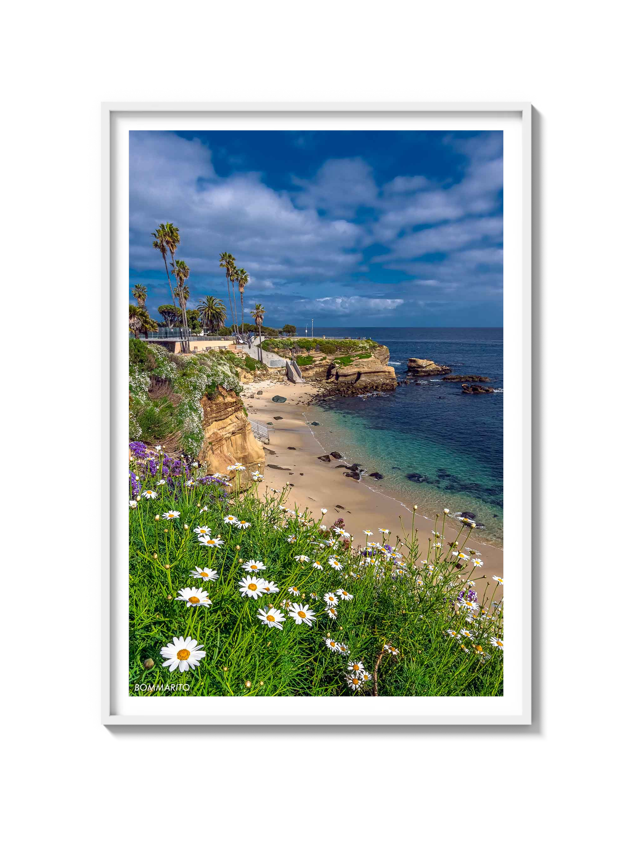 La Jolla Cove