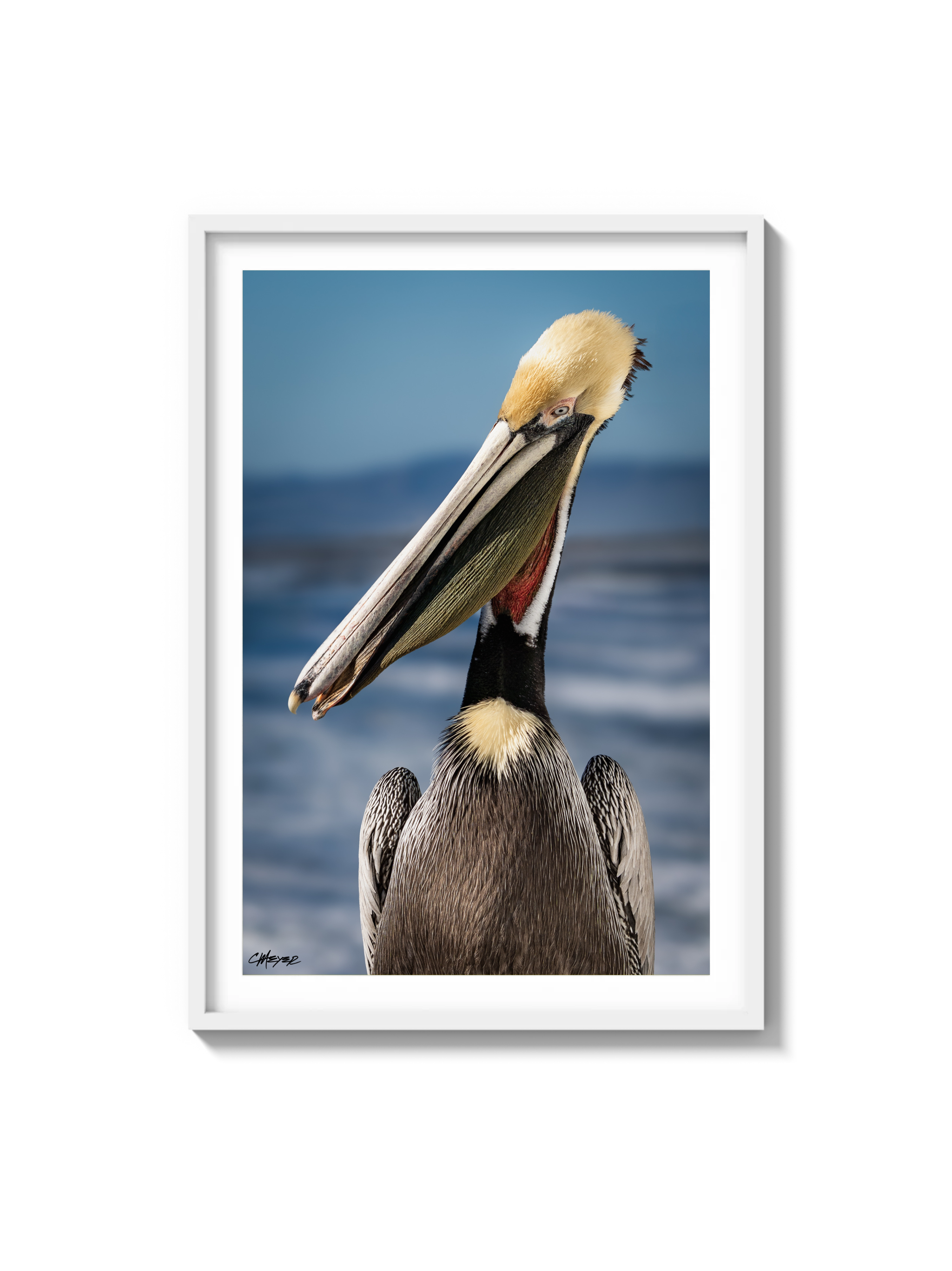 Tux