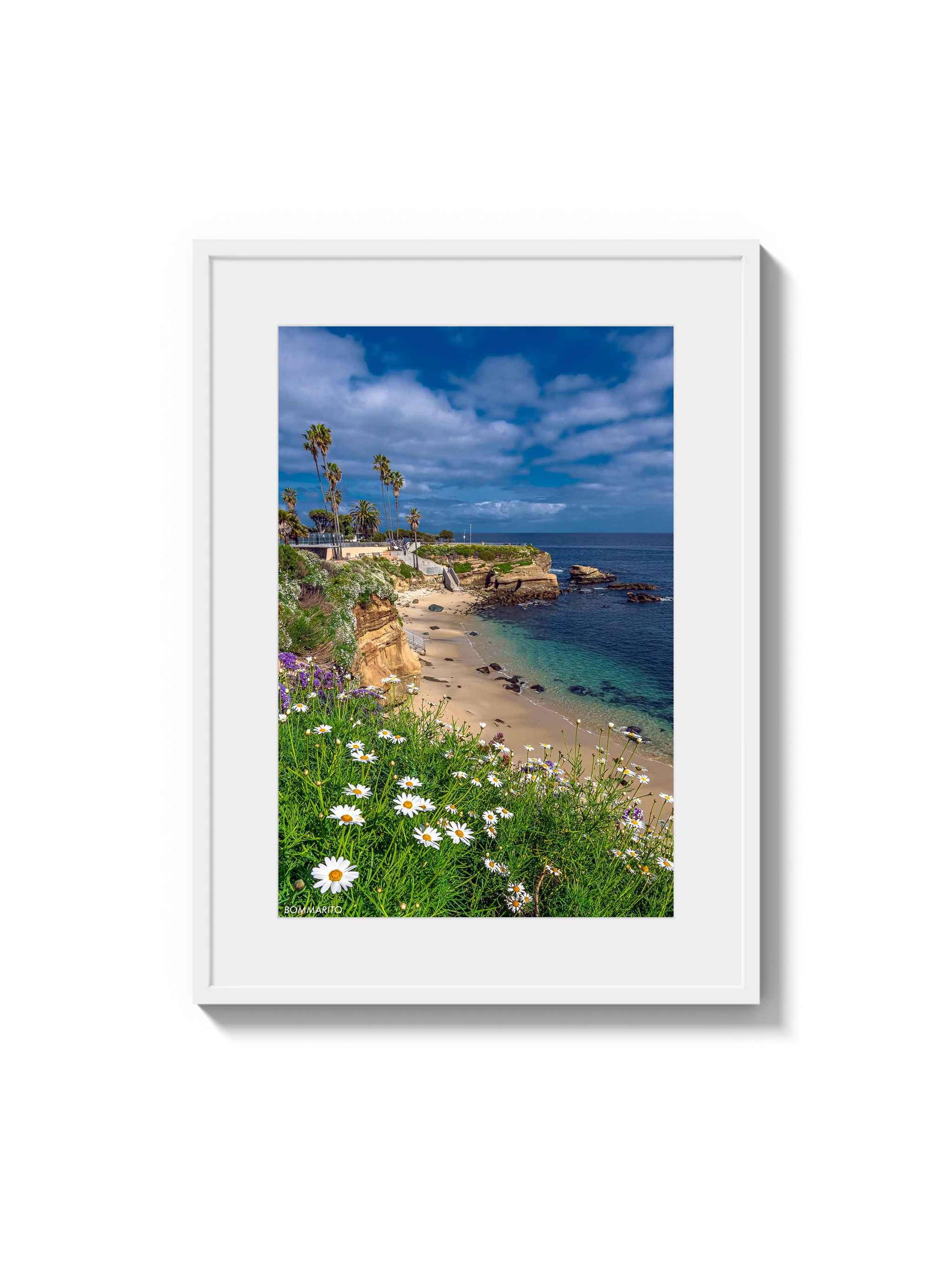 La Jolla Cove