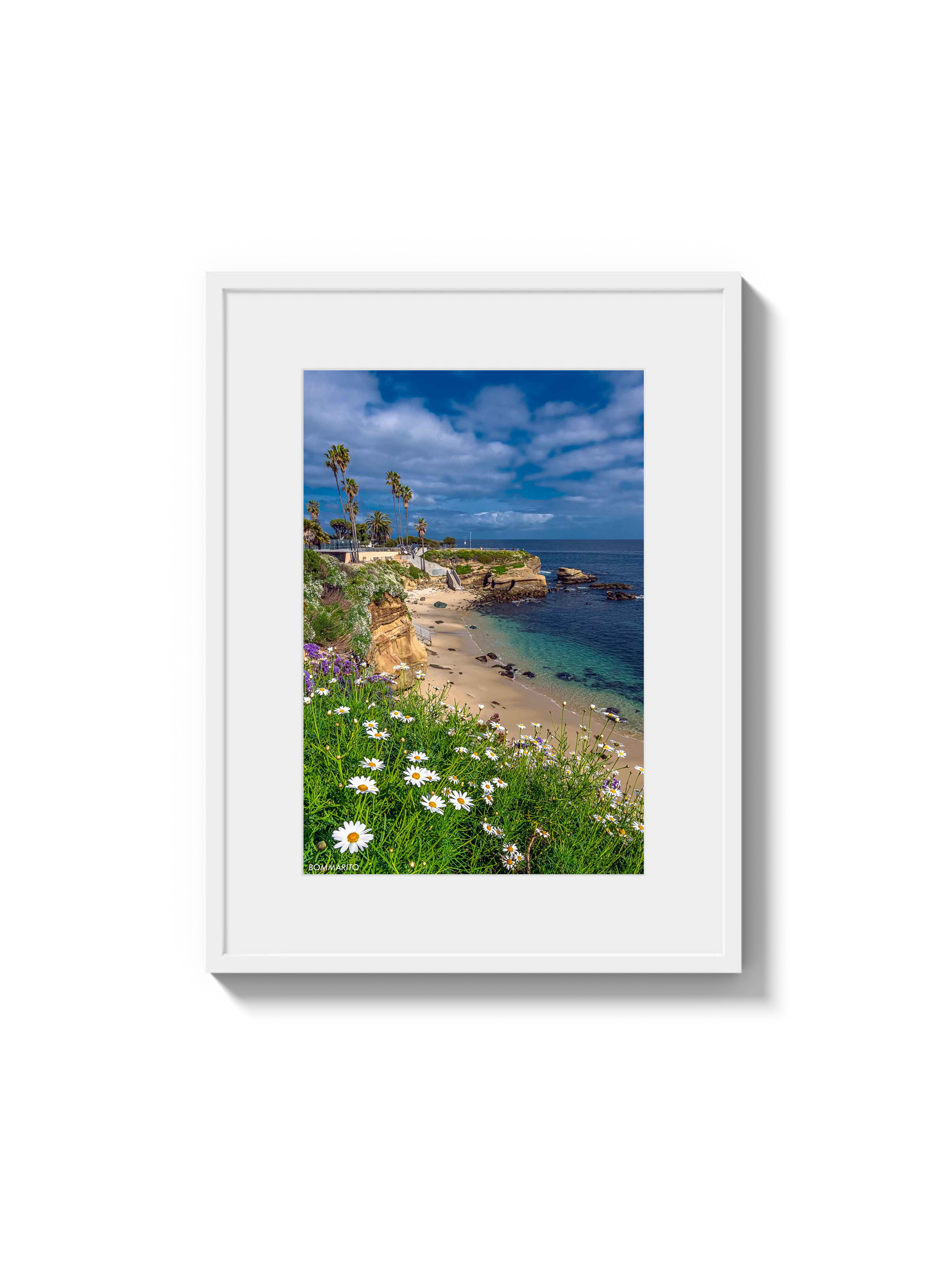 La Jolla Cove