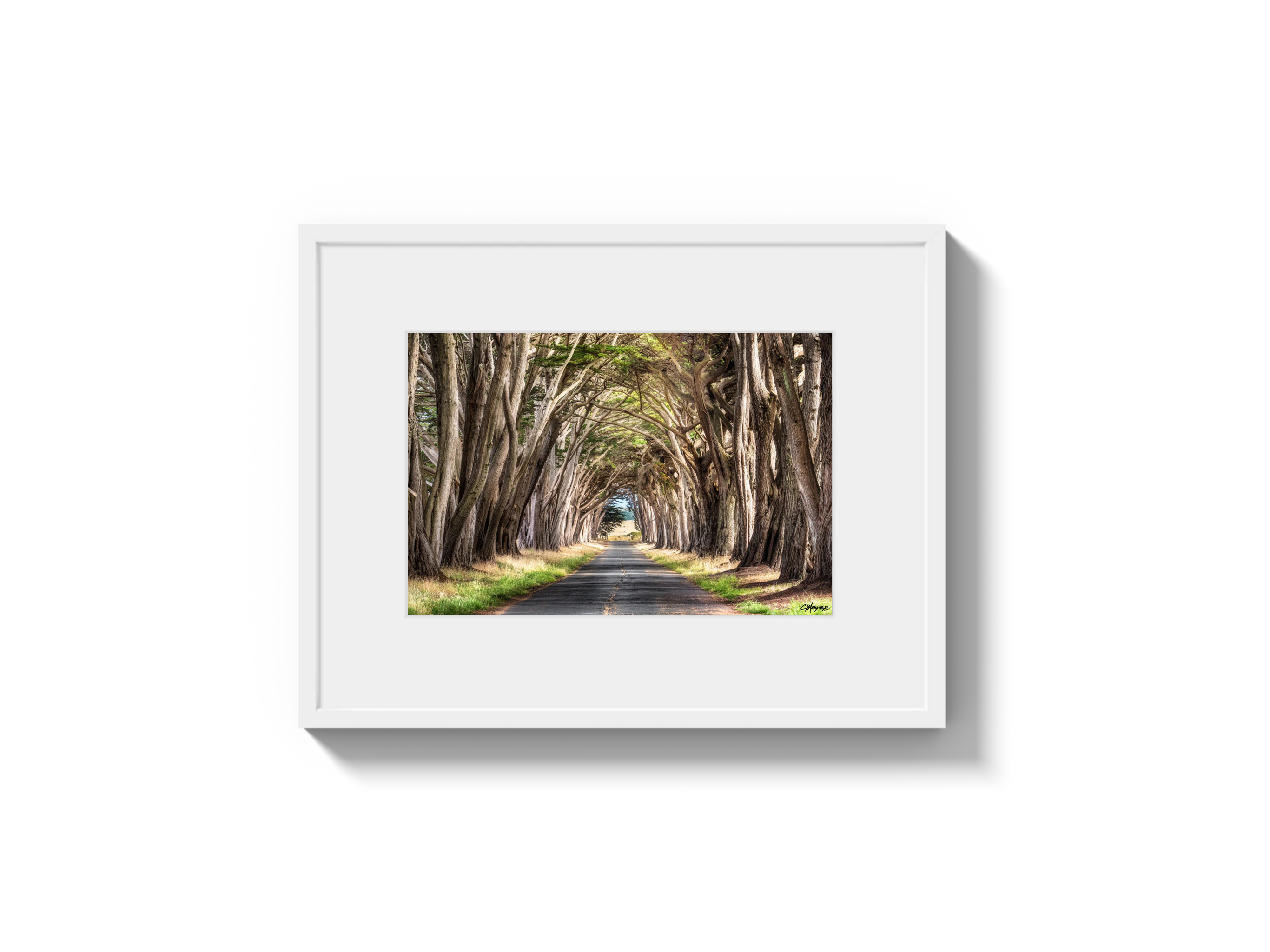 Tunnel View