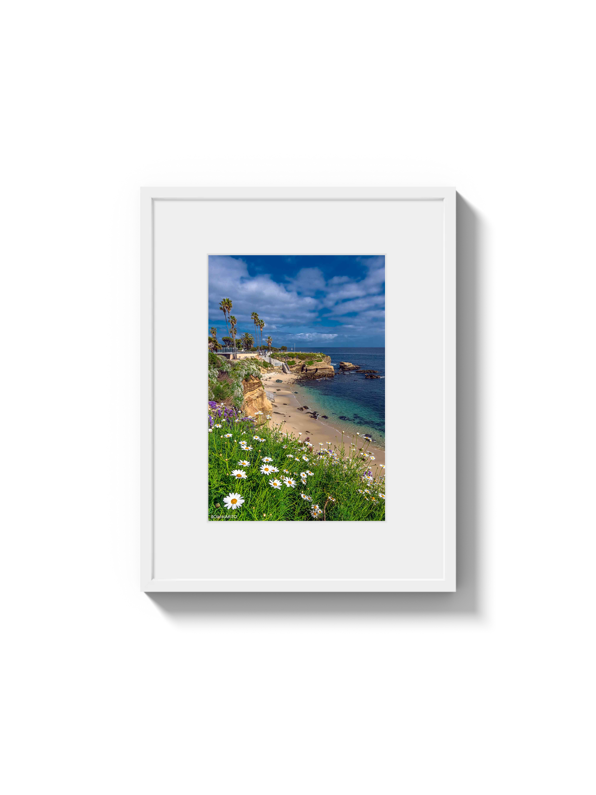 La Jolla Cove