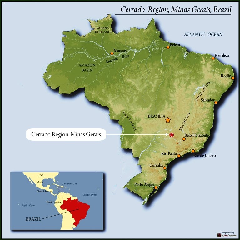 Single origin brazilian coffee