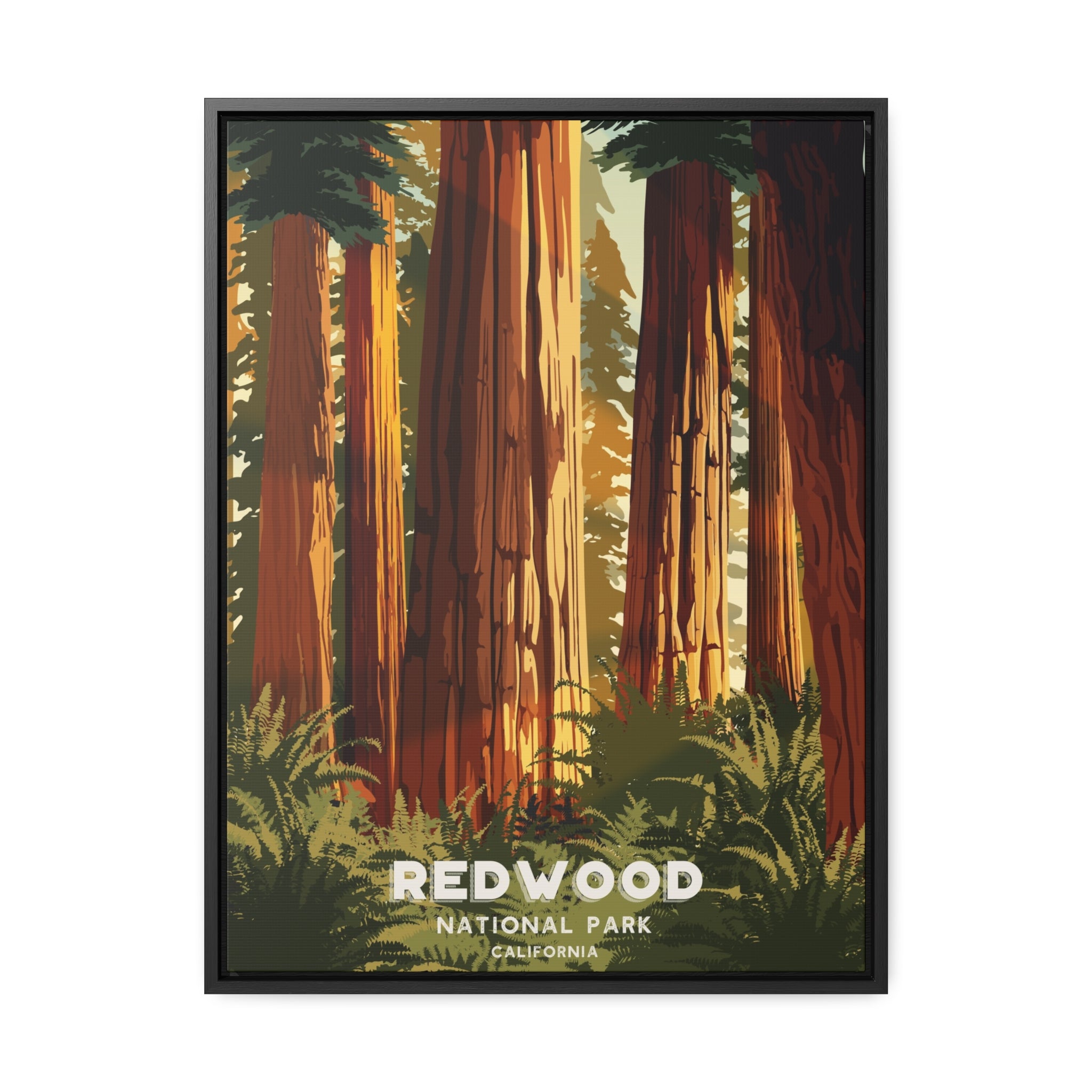 Redwood National Park Framed Canvas Print