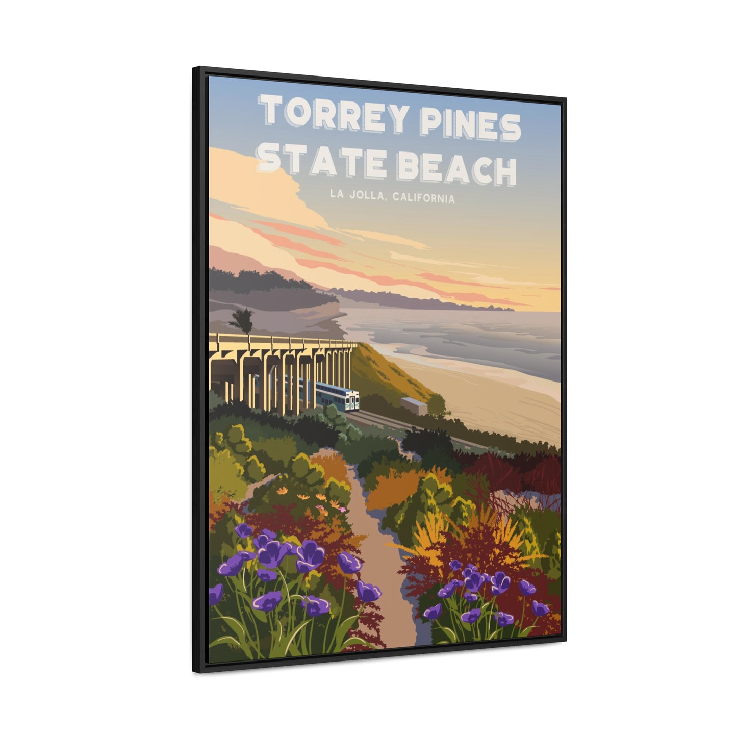 Torrey Pines Beach Framed Canvas Print