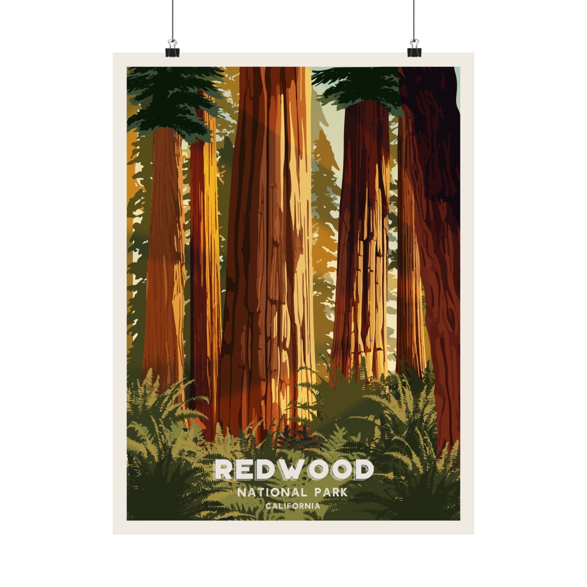 Redwood National Park Poster