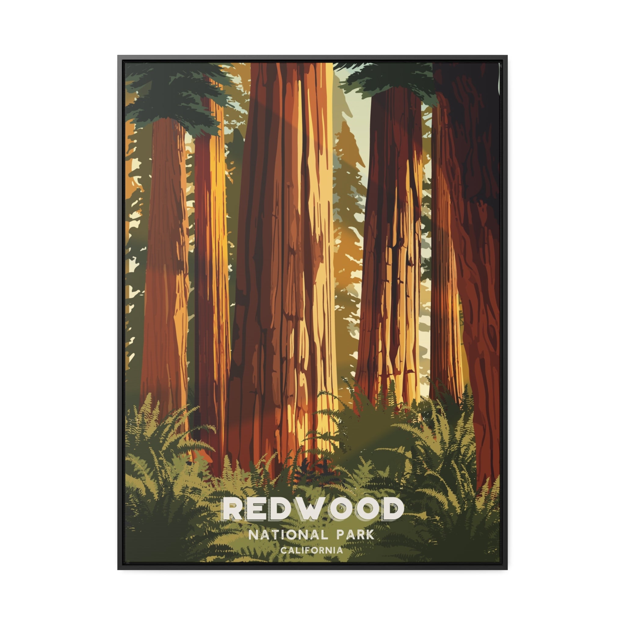 Redwood National Park Framed Canvas Print
