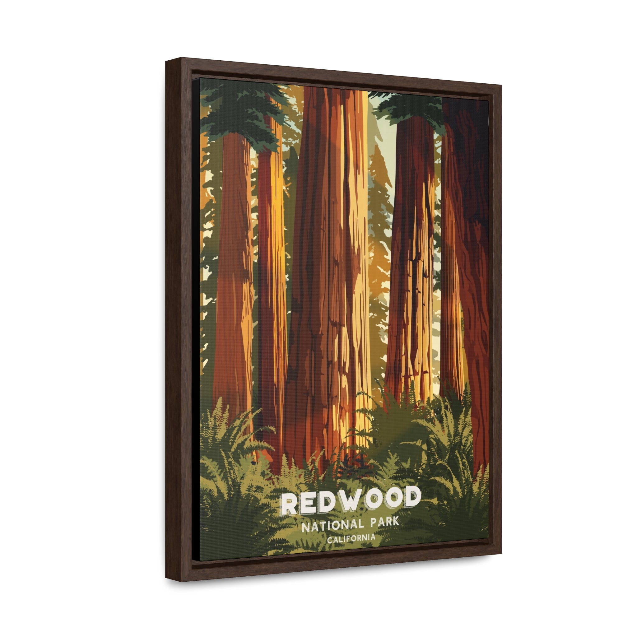 Redwood National Park Framed Canvas Print