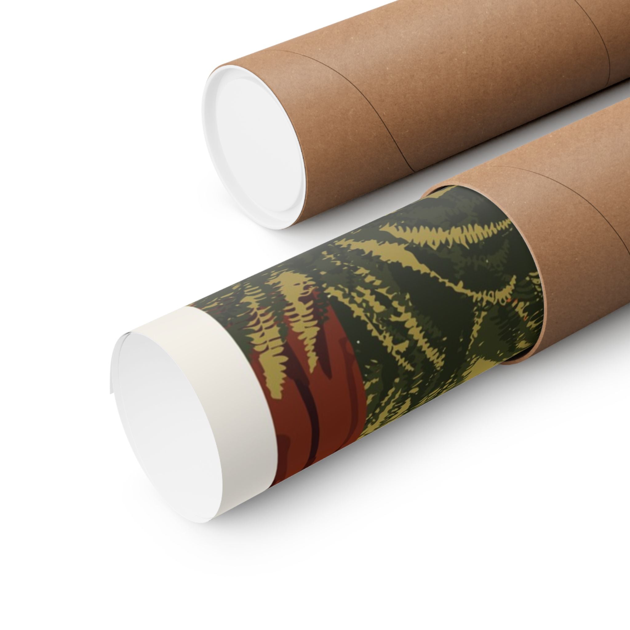 Redwood National Park Poster