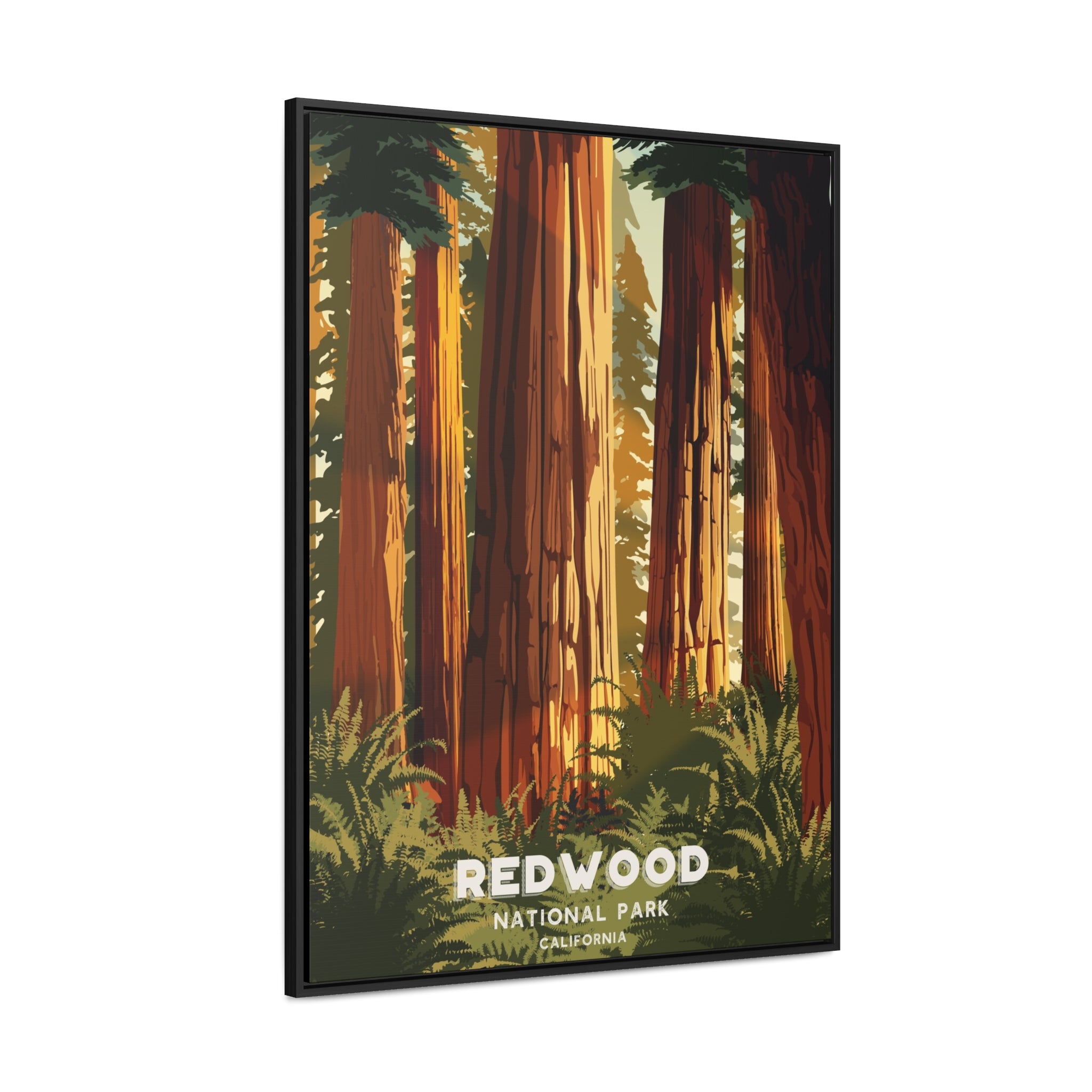 Redwood National Park Framed Canvas Print