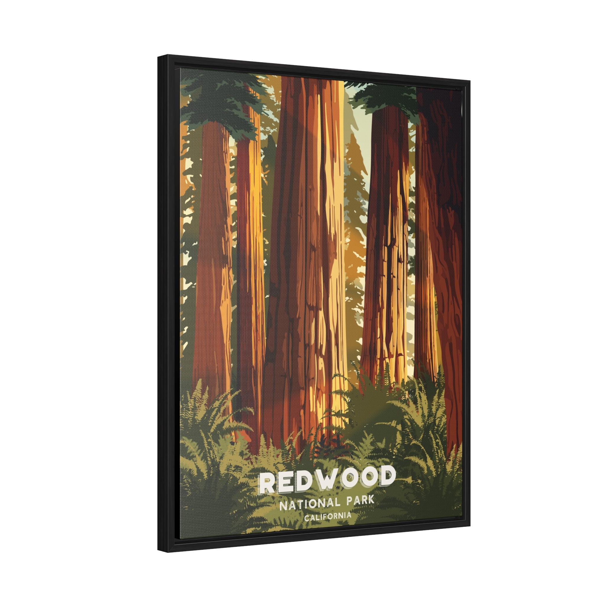 Redwood National Park Framed Canvas Print