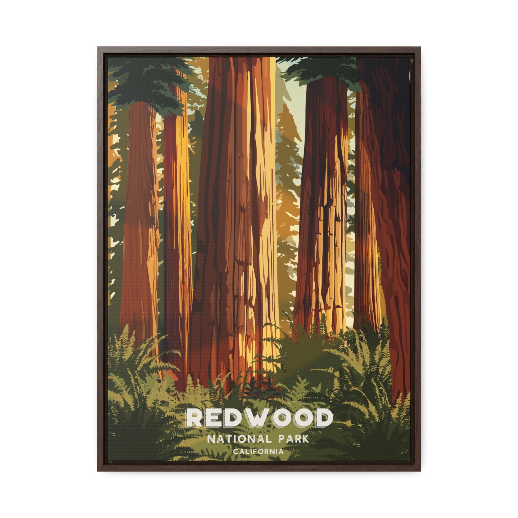 Redwood National Park Framed Canvas Print