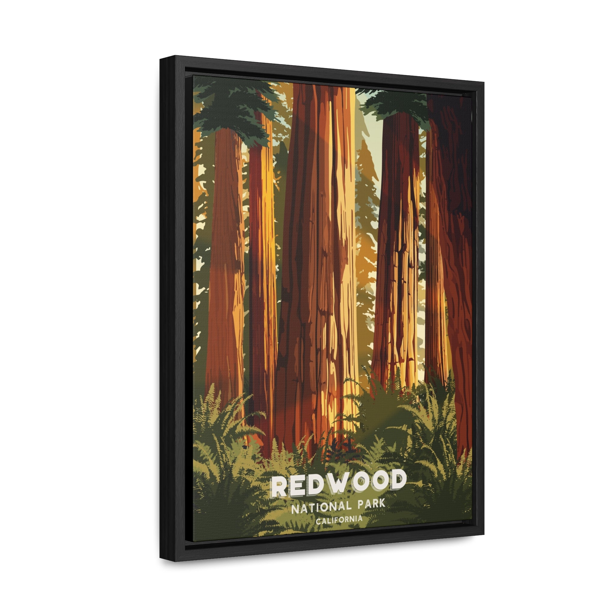 Redwood National Park Framed Canvas Print