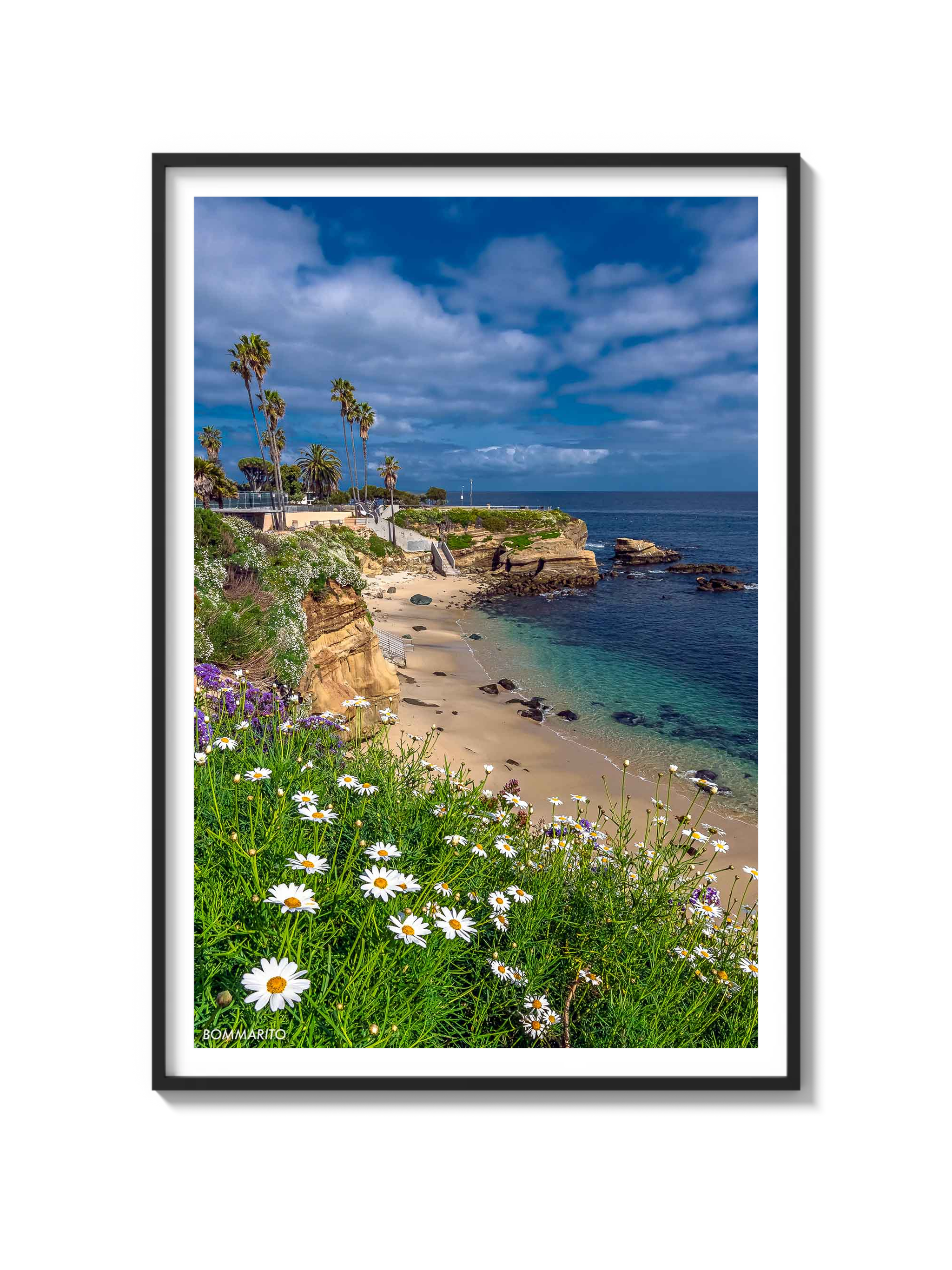 La Jolla Cove