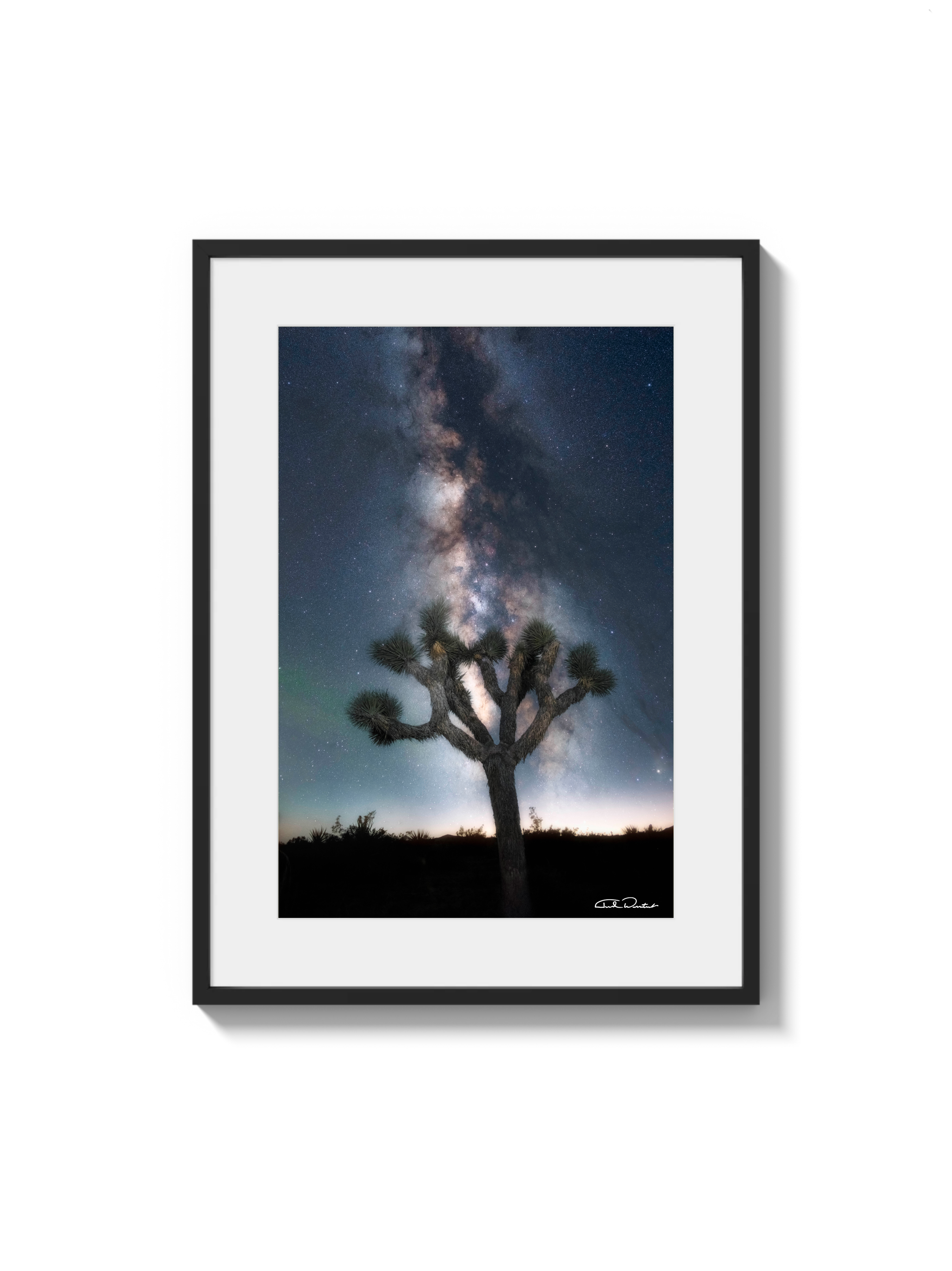 Joshua Tree