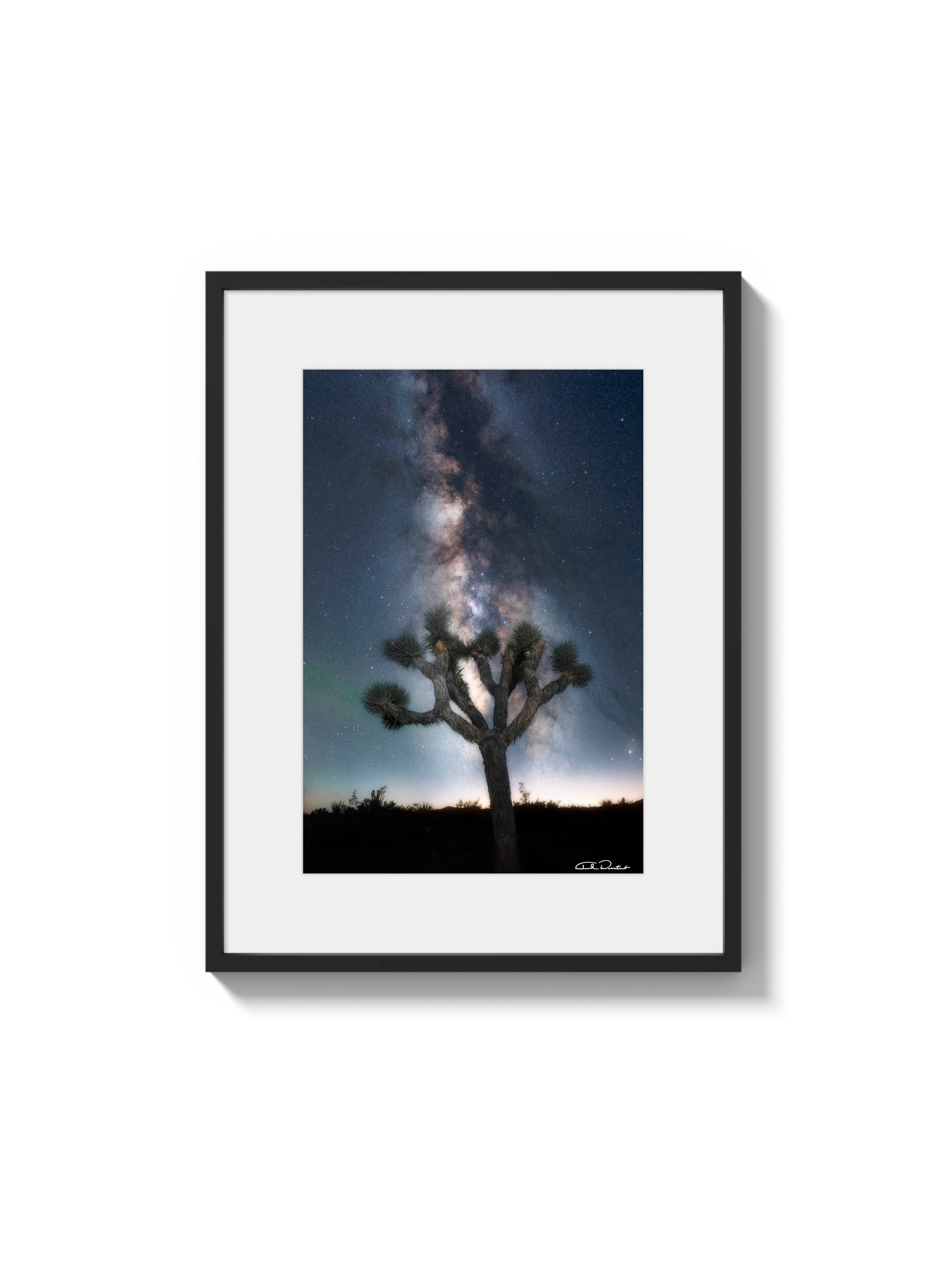 Joshua Tree