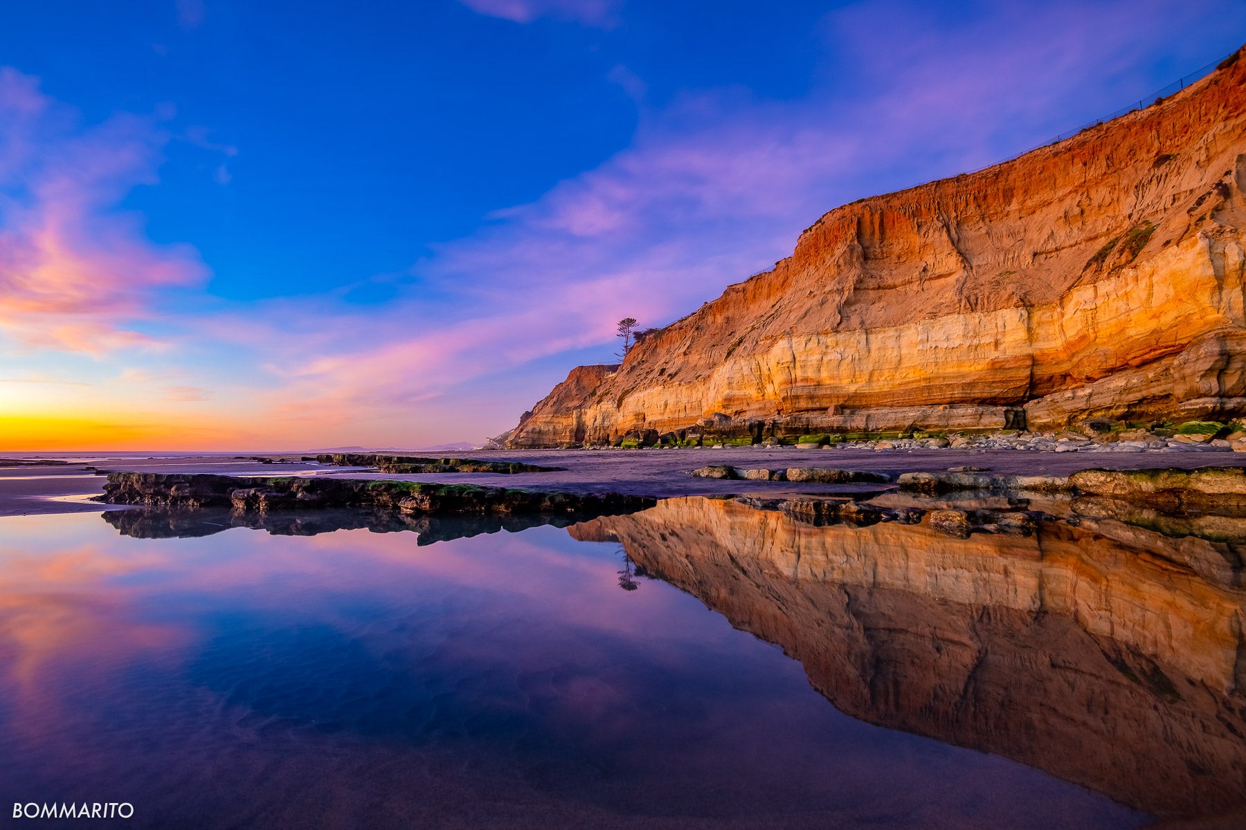 Del Mar Reflections