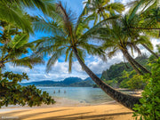 Hanalei Bay Fishermen