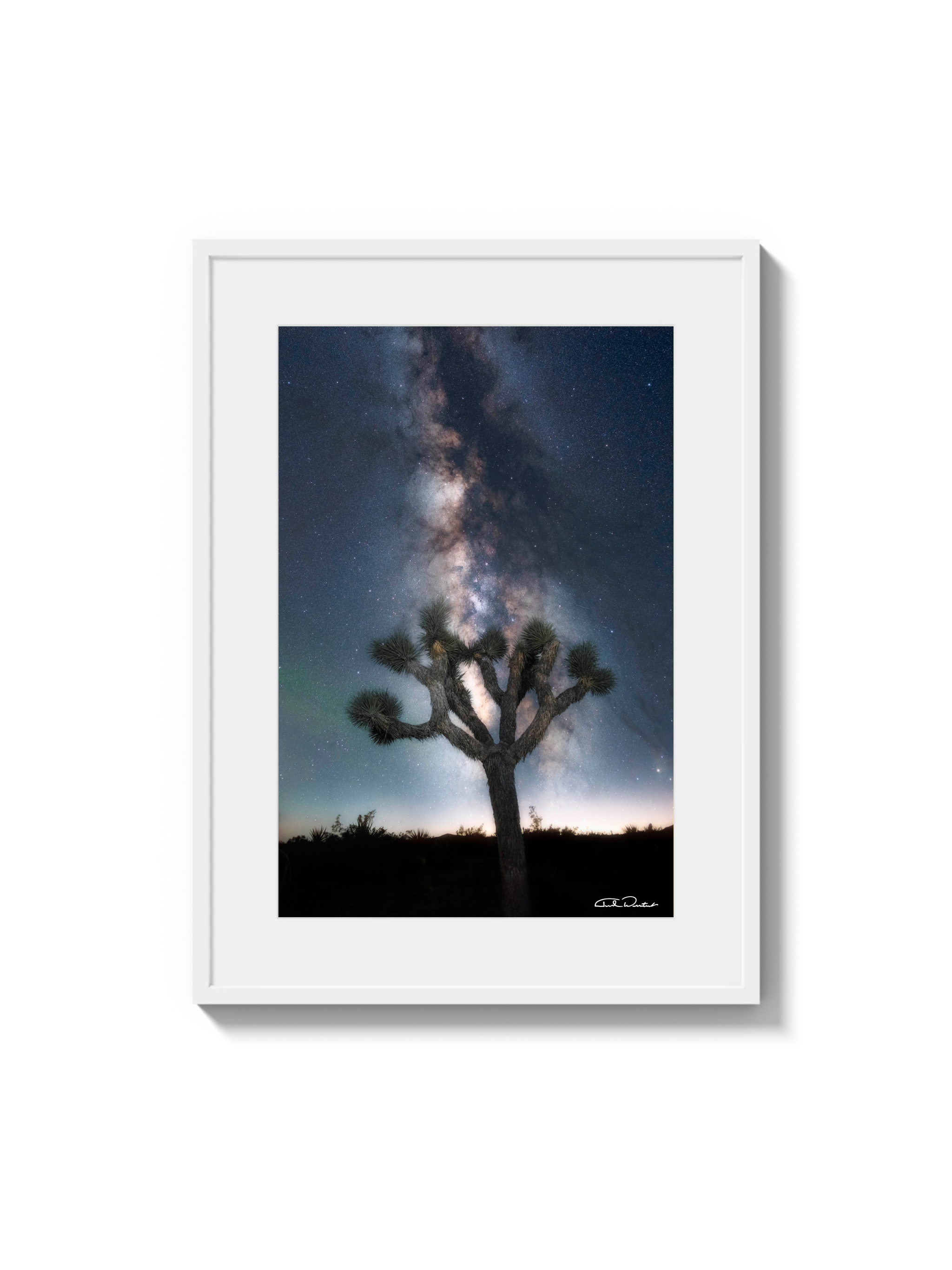 Joshua Tree