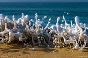 beach foam abstract photography print