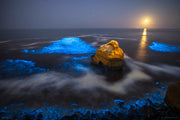 bioluminescence at sunset cliffs fine art photography print 