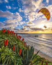 La Jolla glider fine art photography print