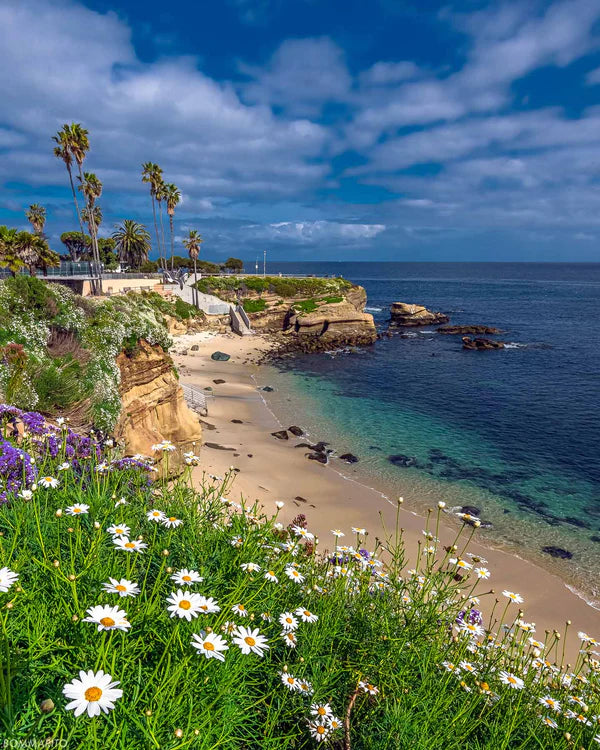 La Jolla California fine art photography print