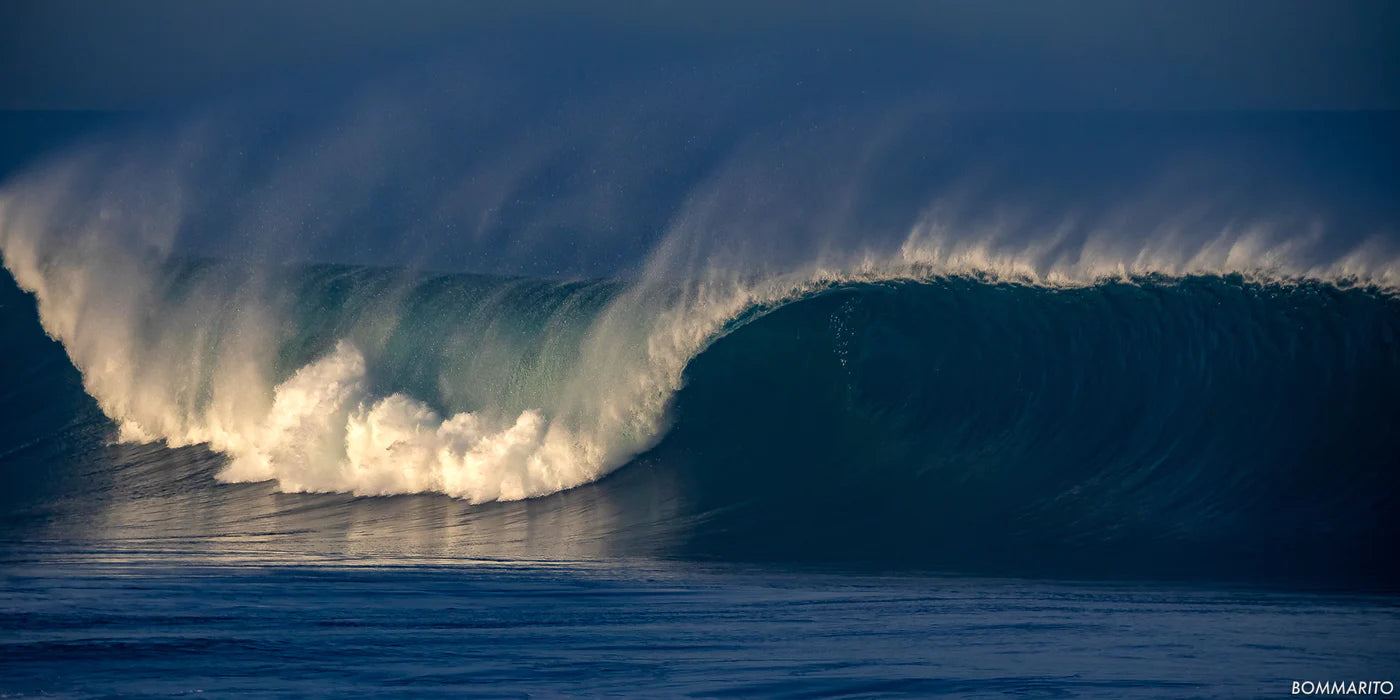 reef curl wave photography print 