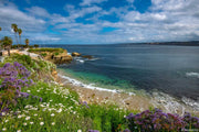 La Jolla Cove fine art photography print